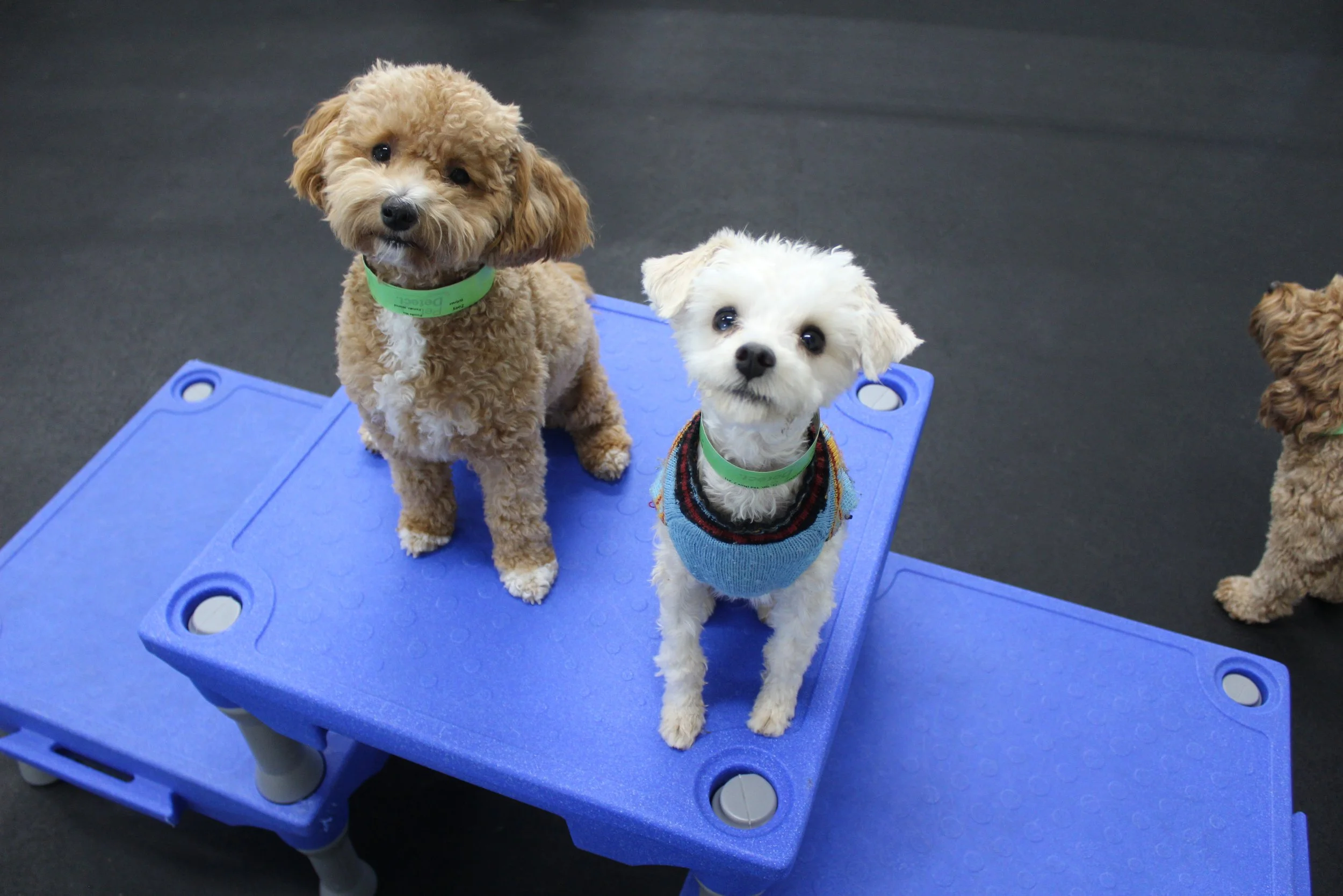 Website Photos 294.JPG