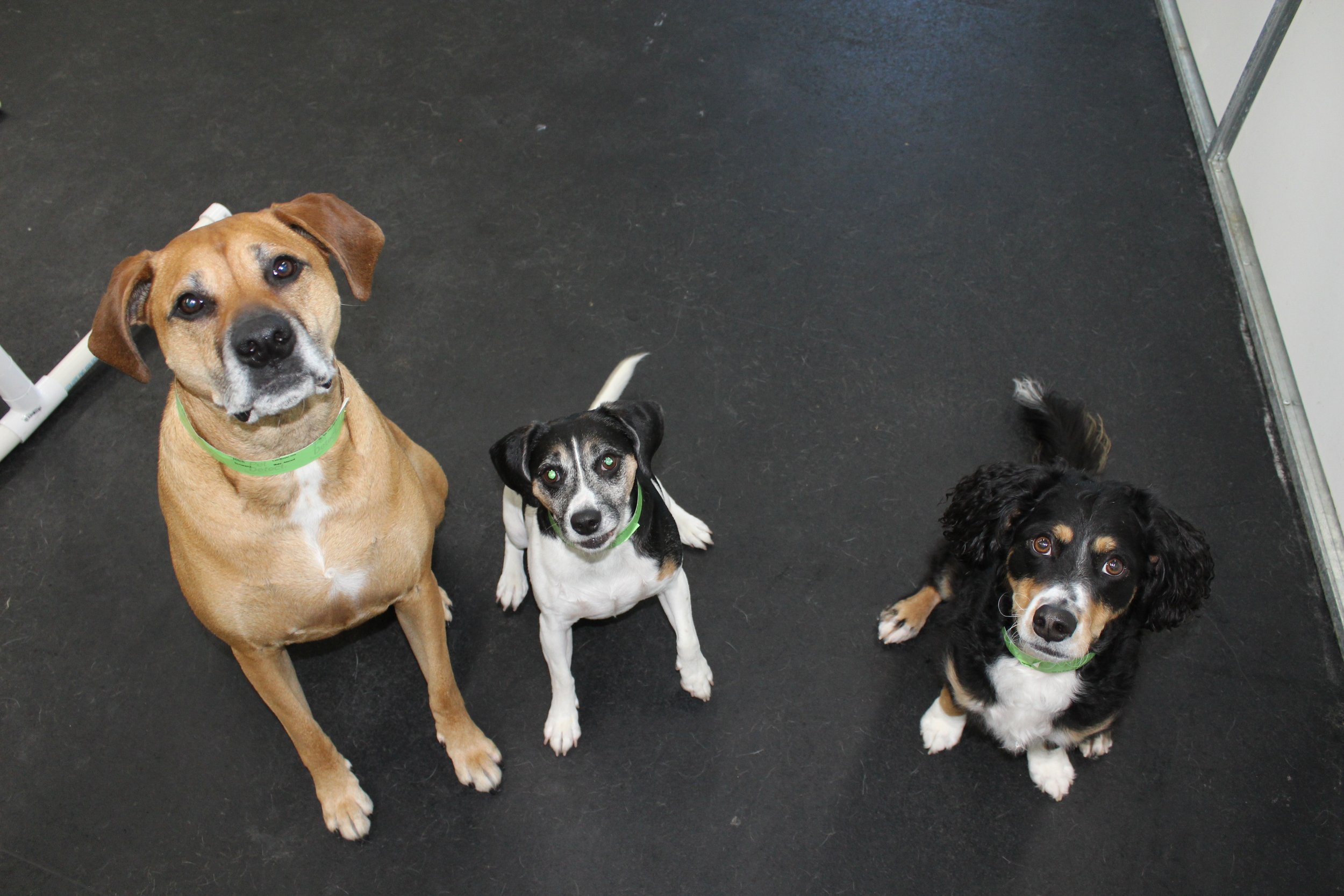 Website Photos 296.JPG