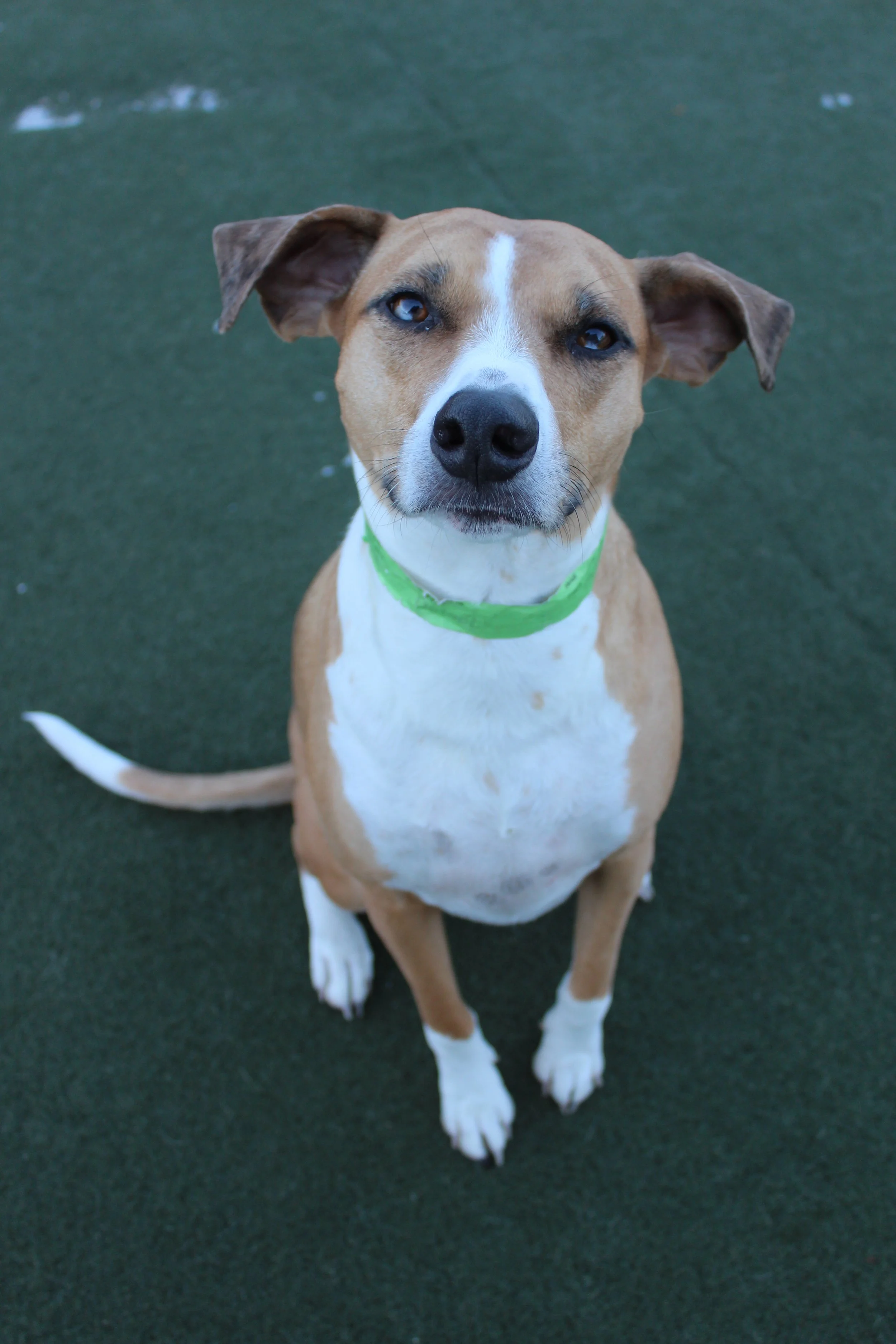 Website Photos 299.JPG