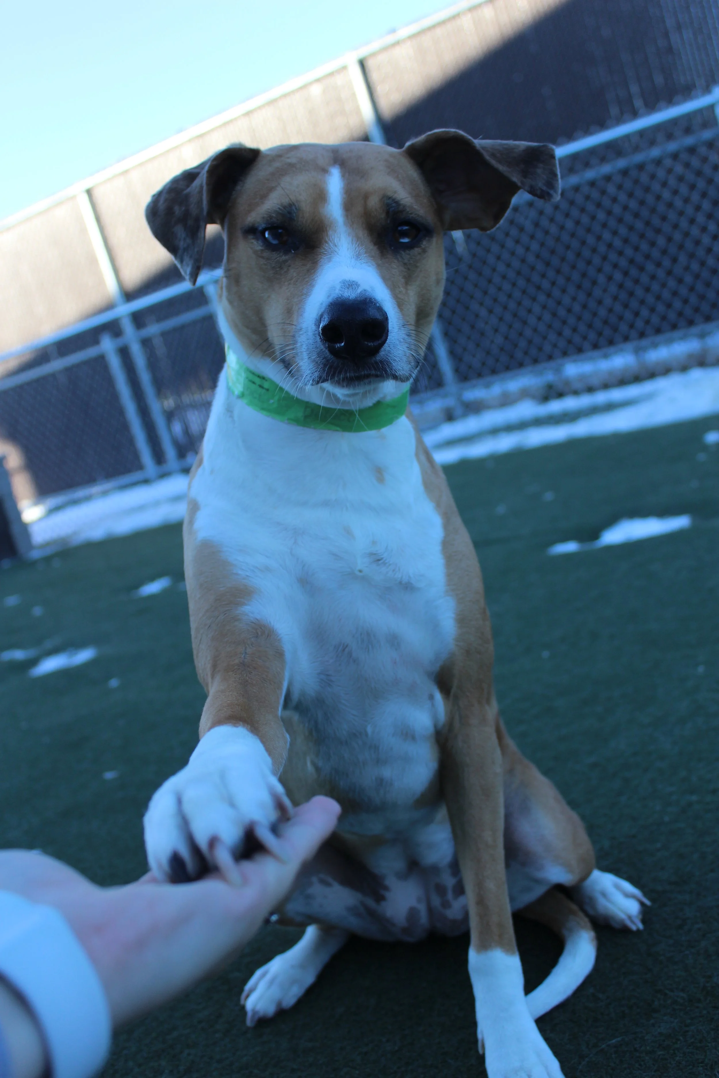 Website Photos 306.JPG