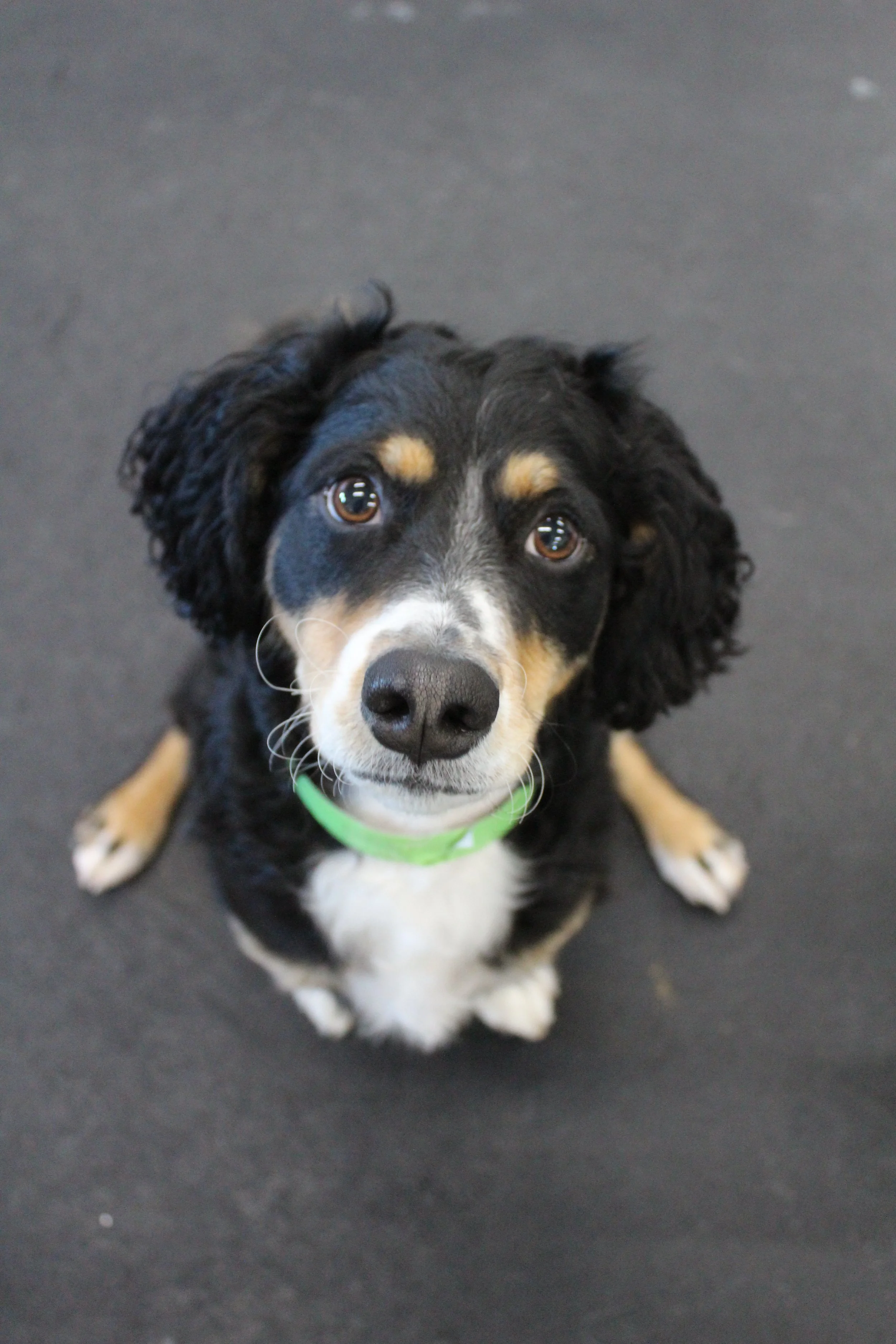 Website Photos 308.JPG