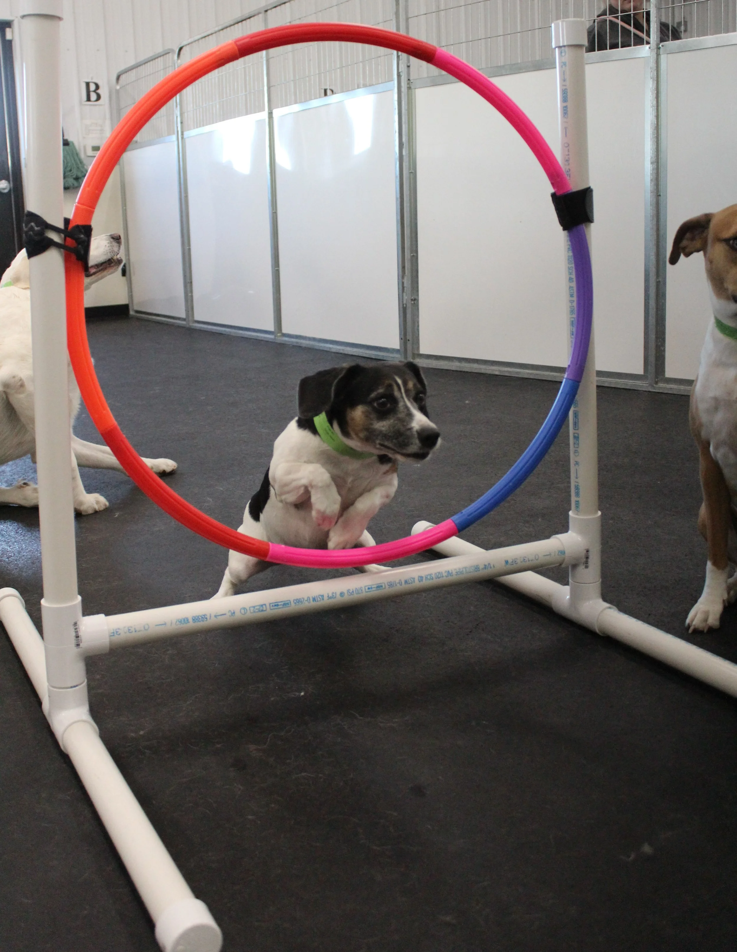 Website Photos 322.JPG