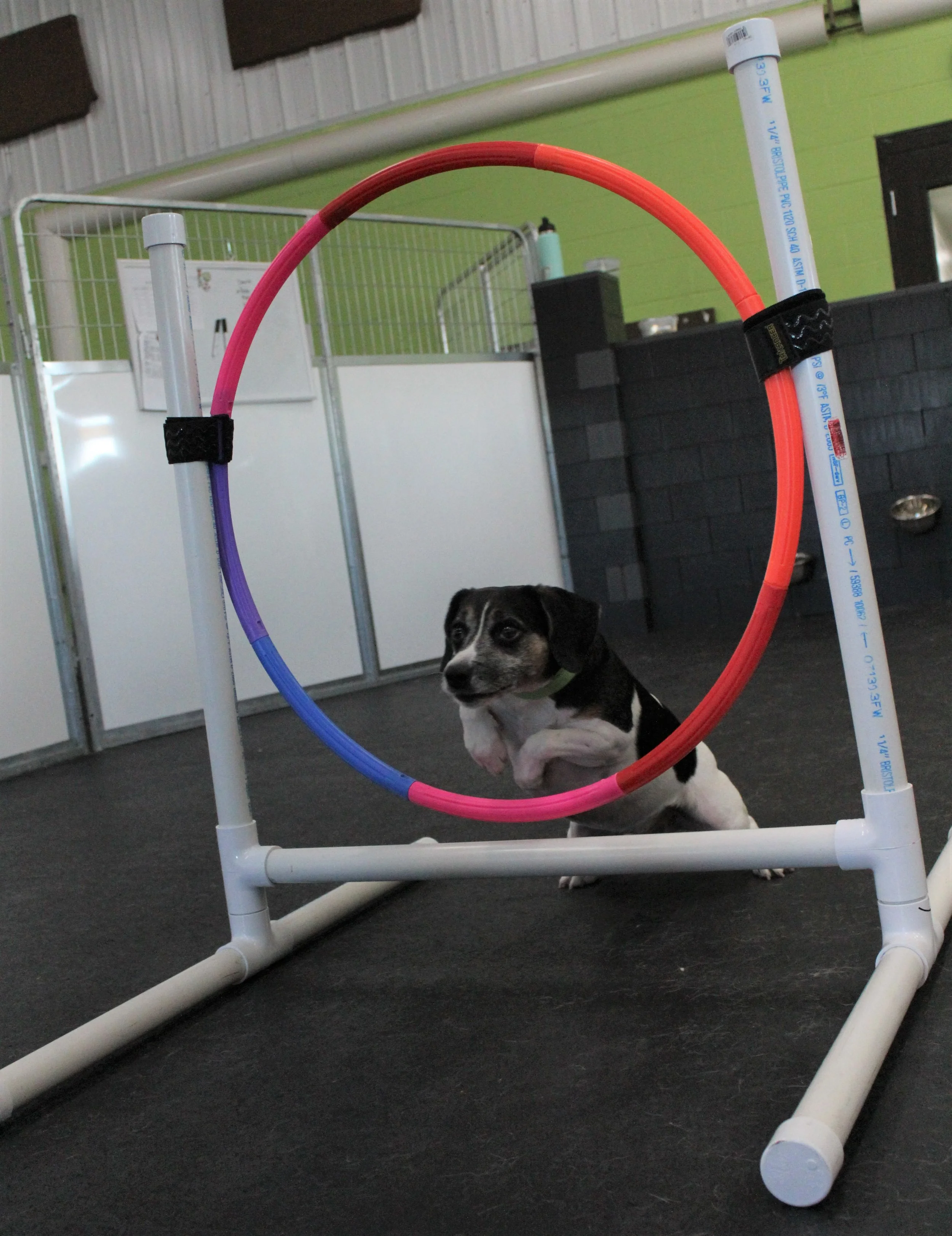 Website Photos 333.JPG