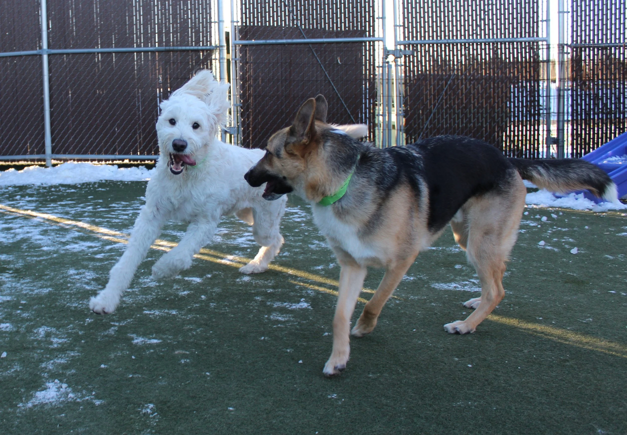 Website Photos 419.JPG