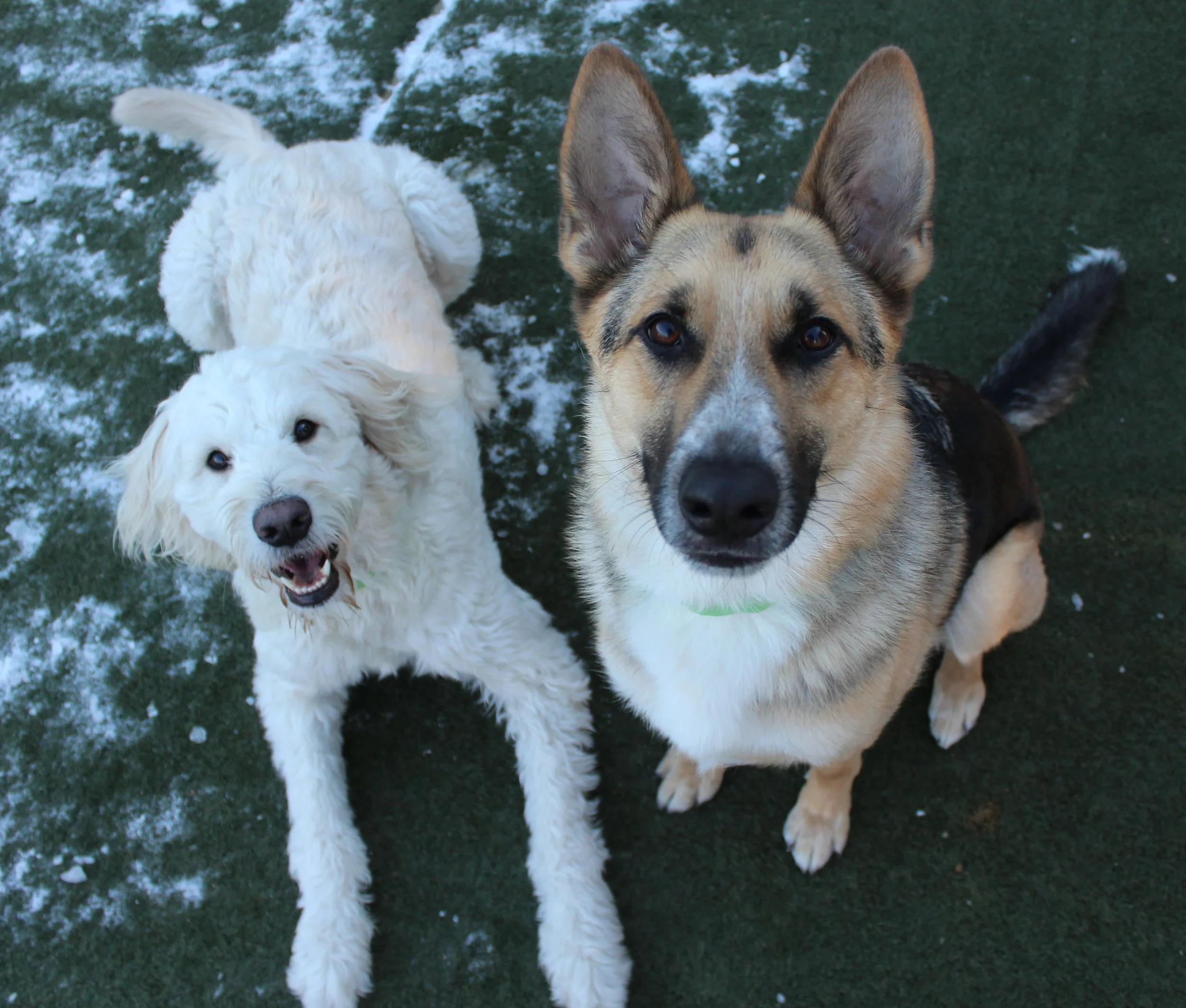 Website Photos 425.JPG