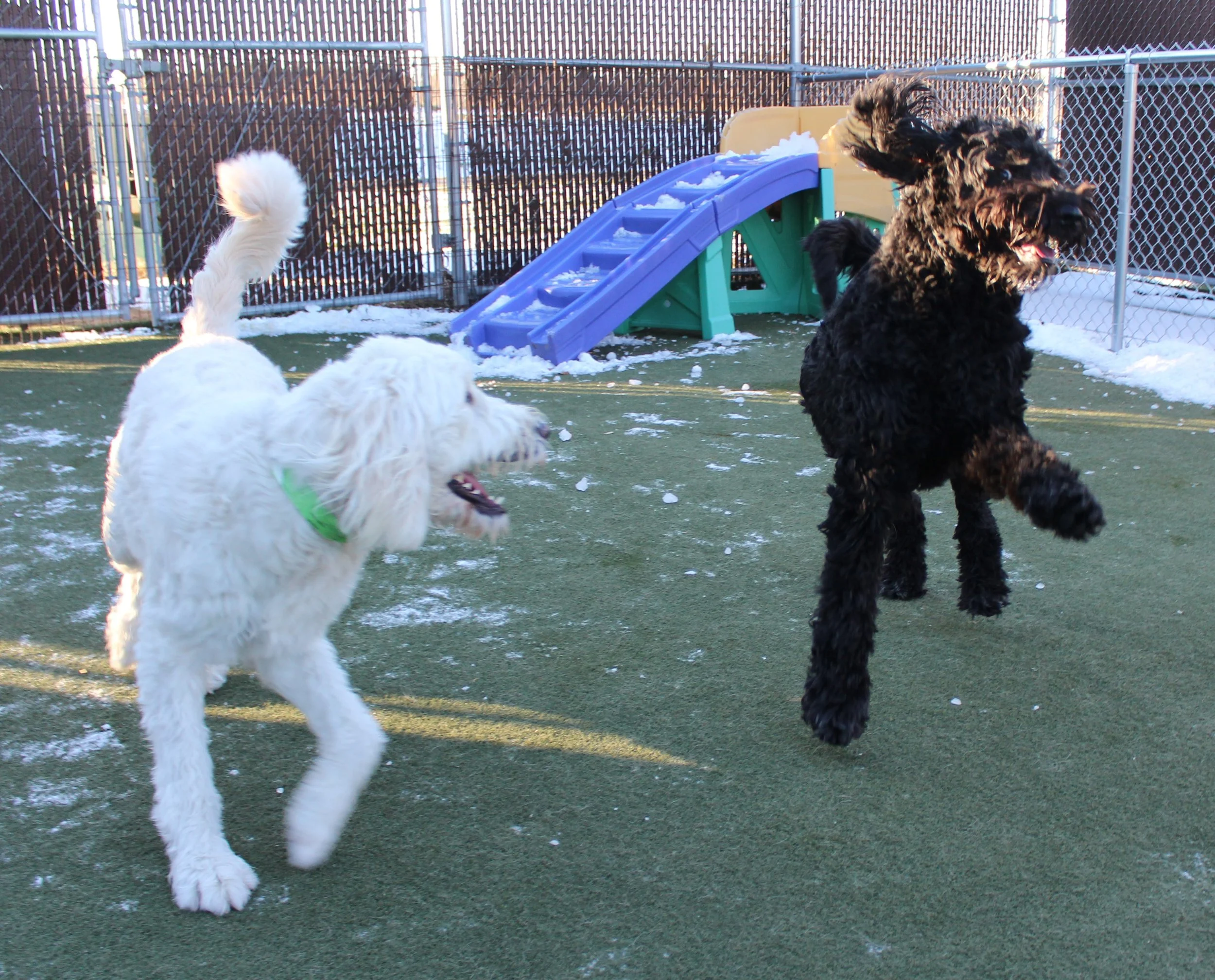 Website Photos 434.JPG