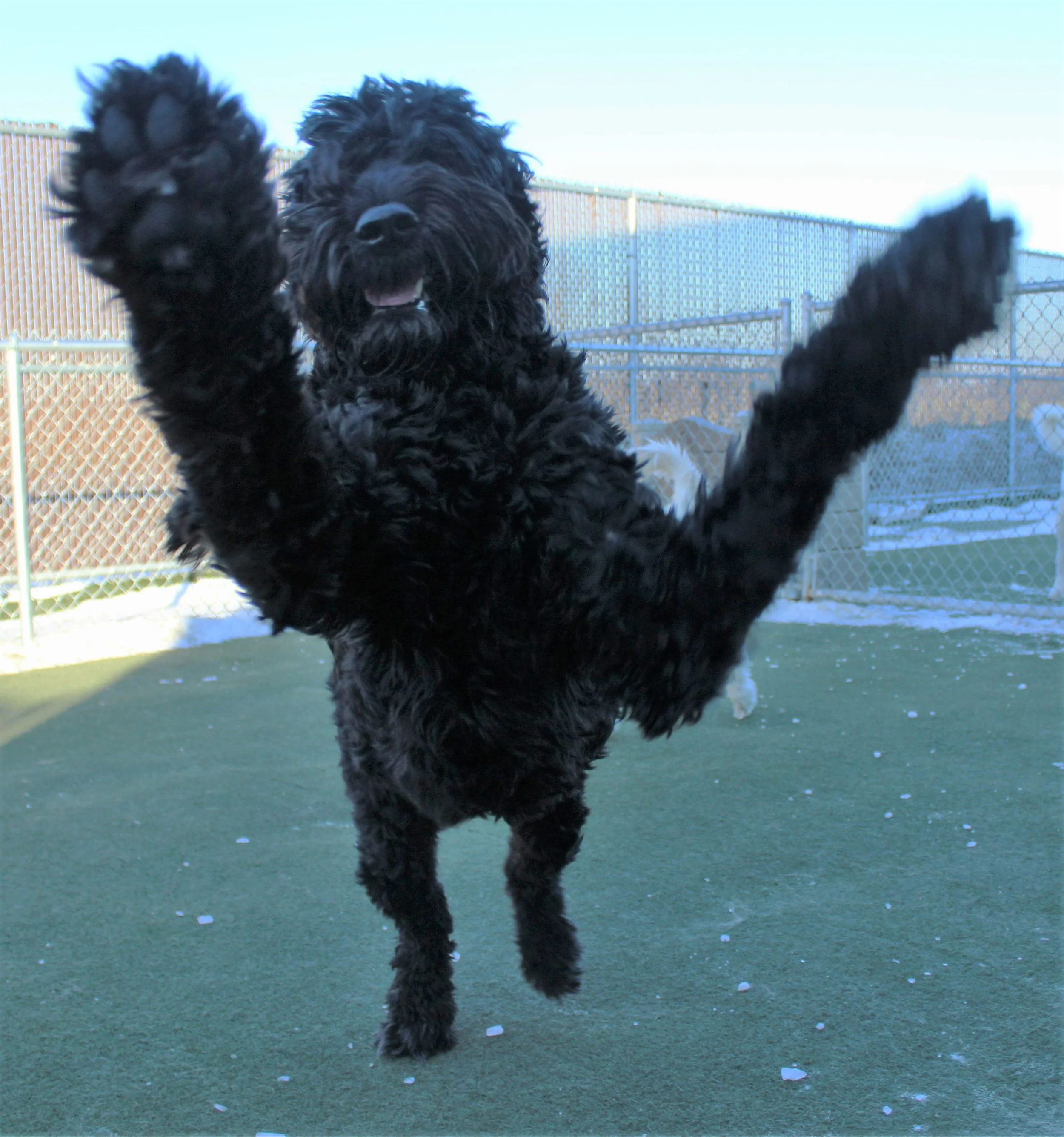 Website Photos 435.JPG