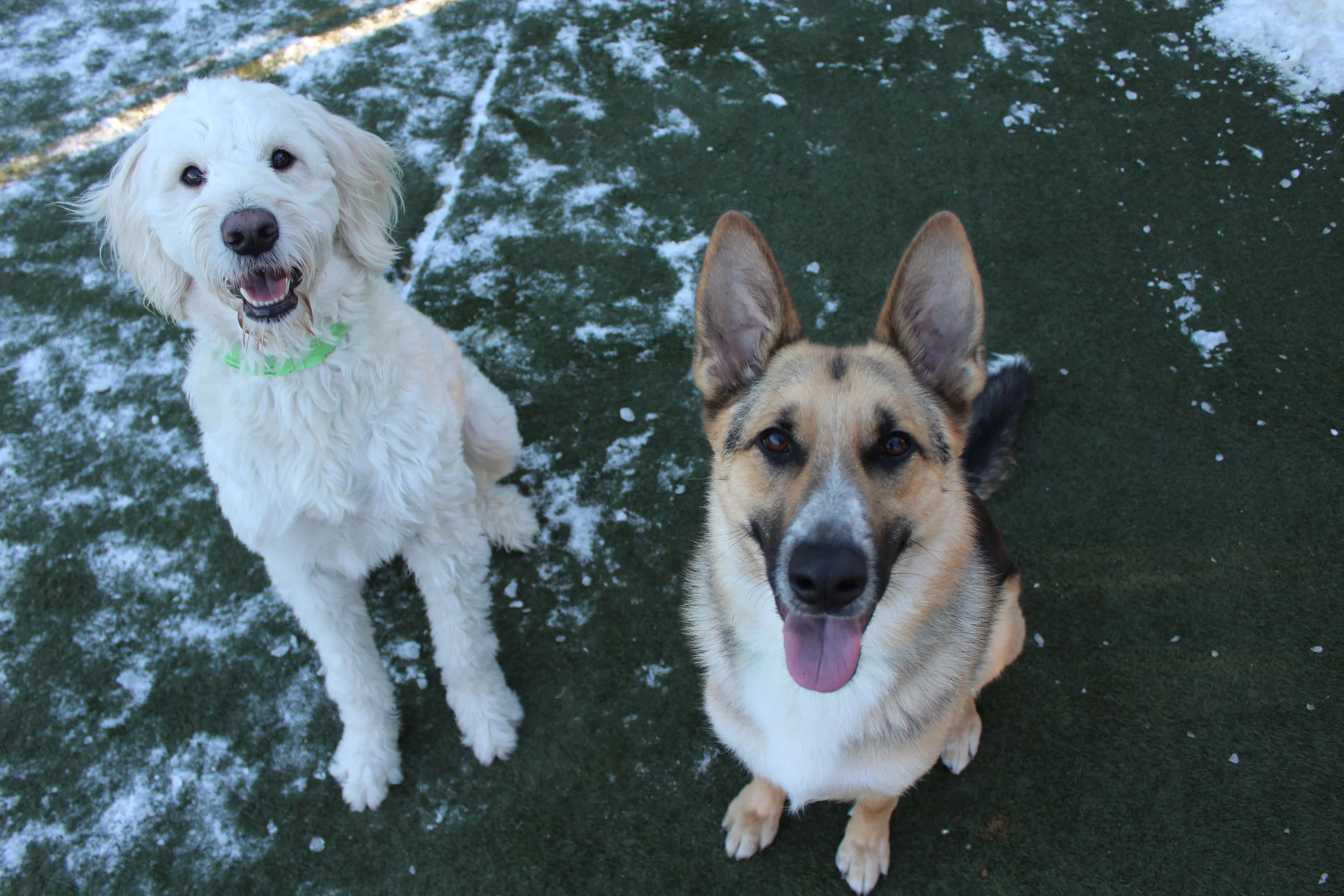 Website Photos 429.JPG