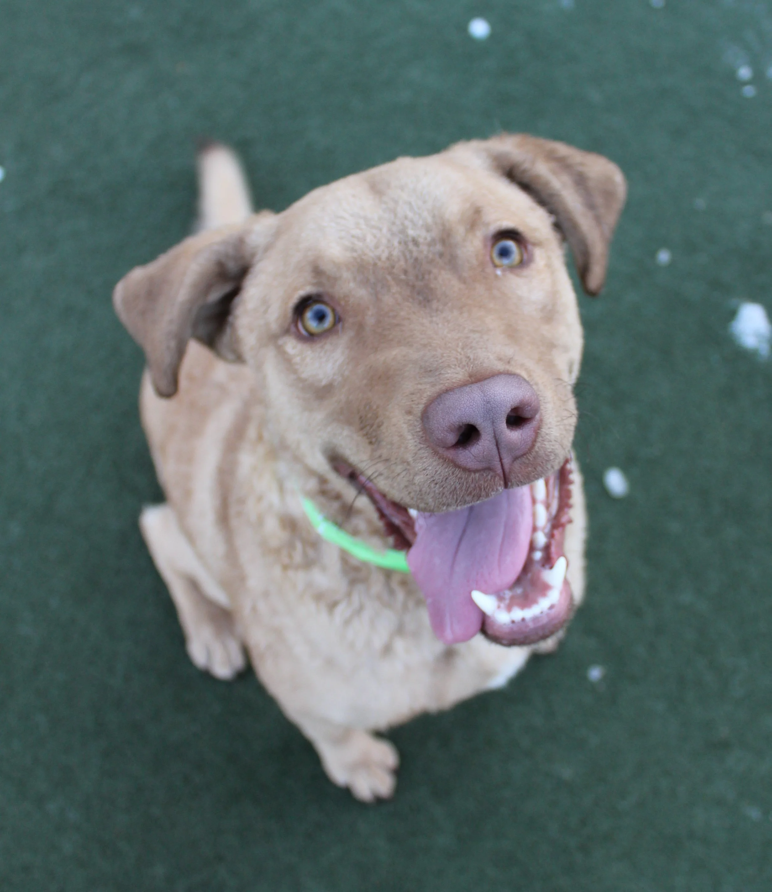 Website Photos 446.JPG