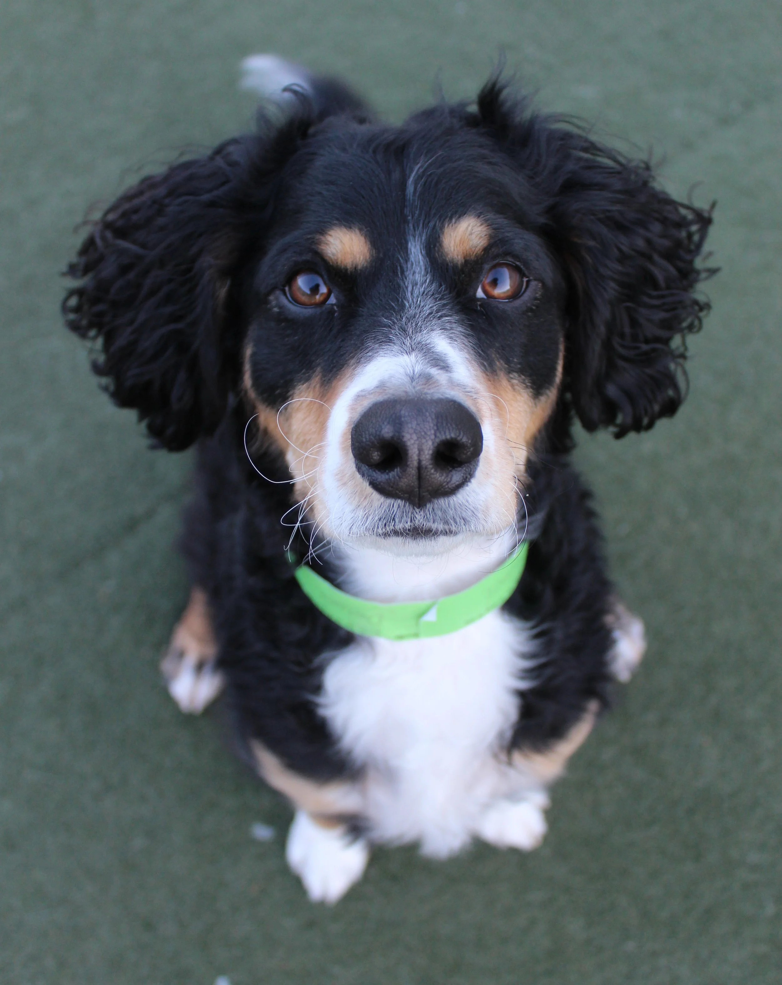 Website Photos 448.JPG