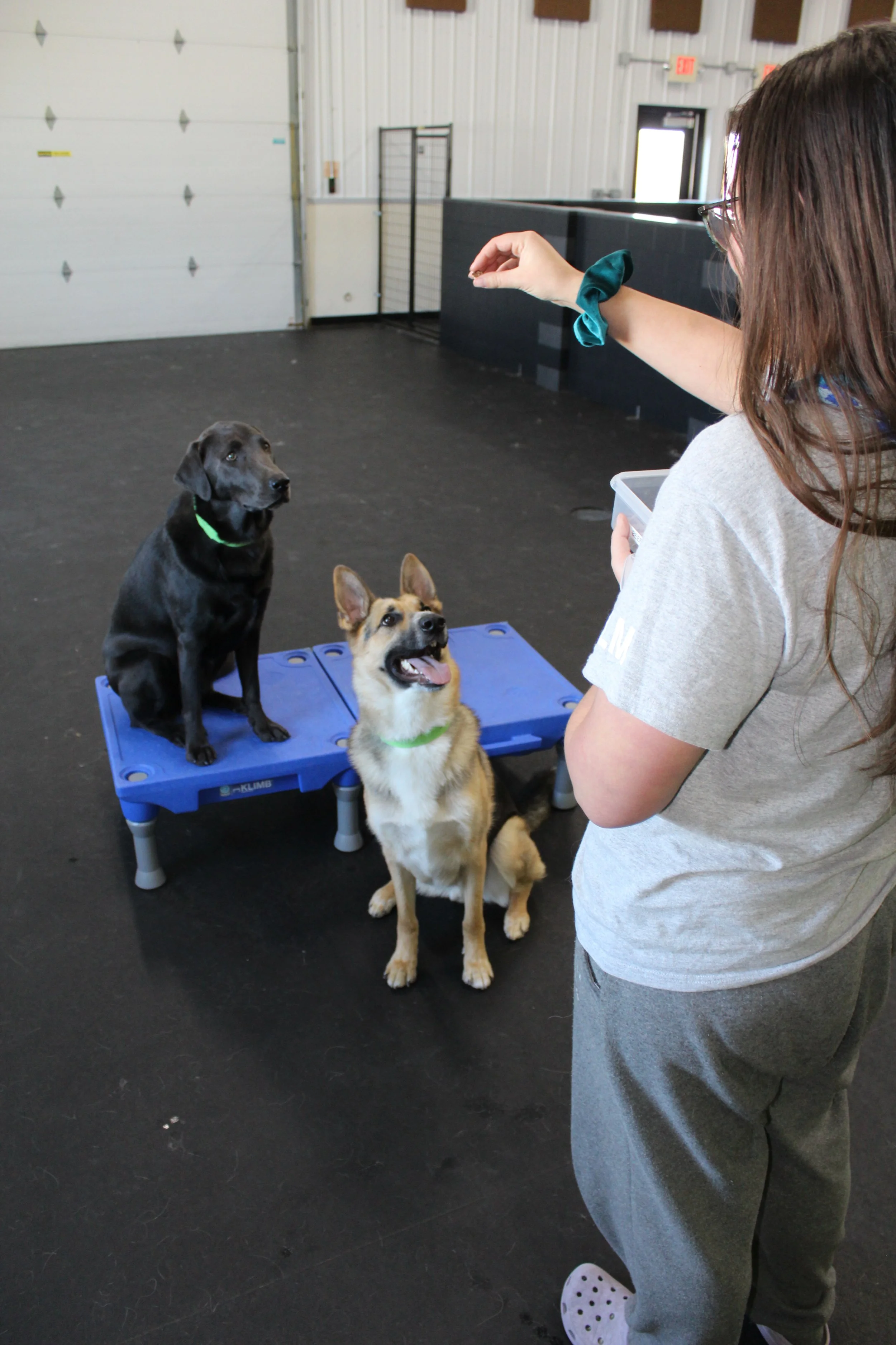 Website Photos 112.JPG