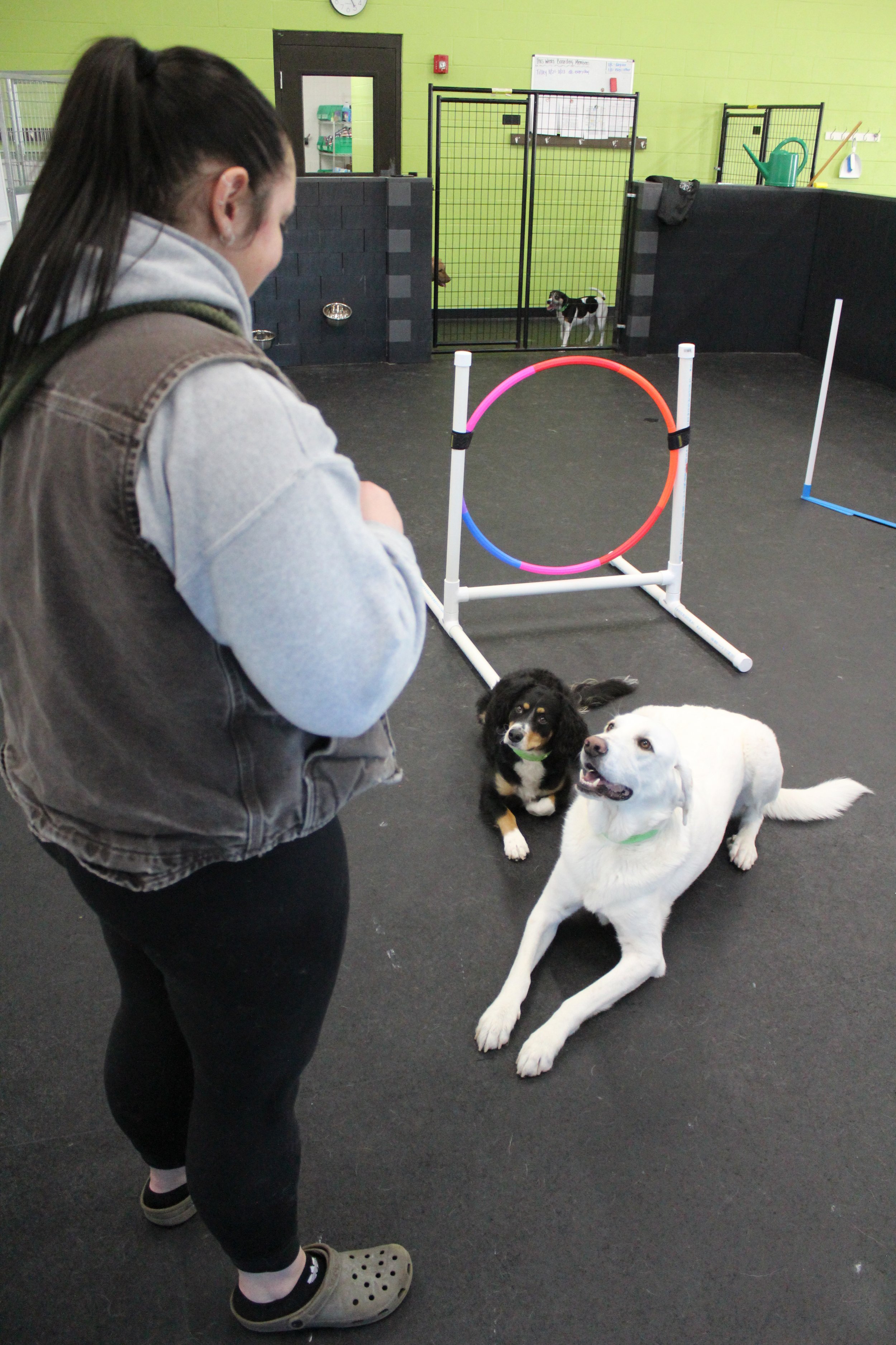 Website Photos 373.JPG