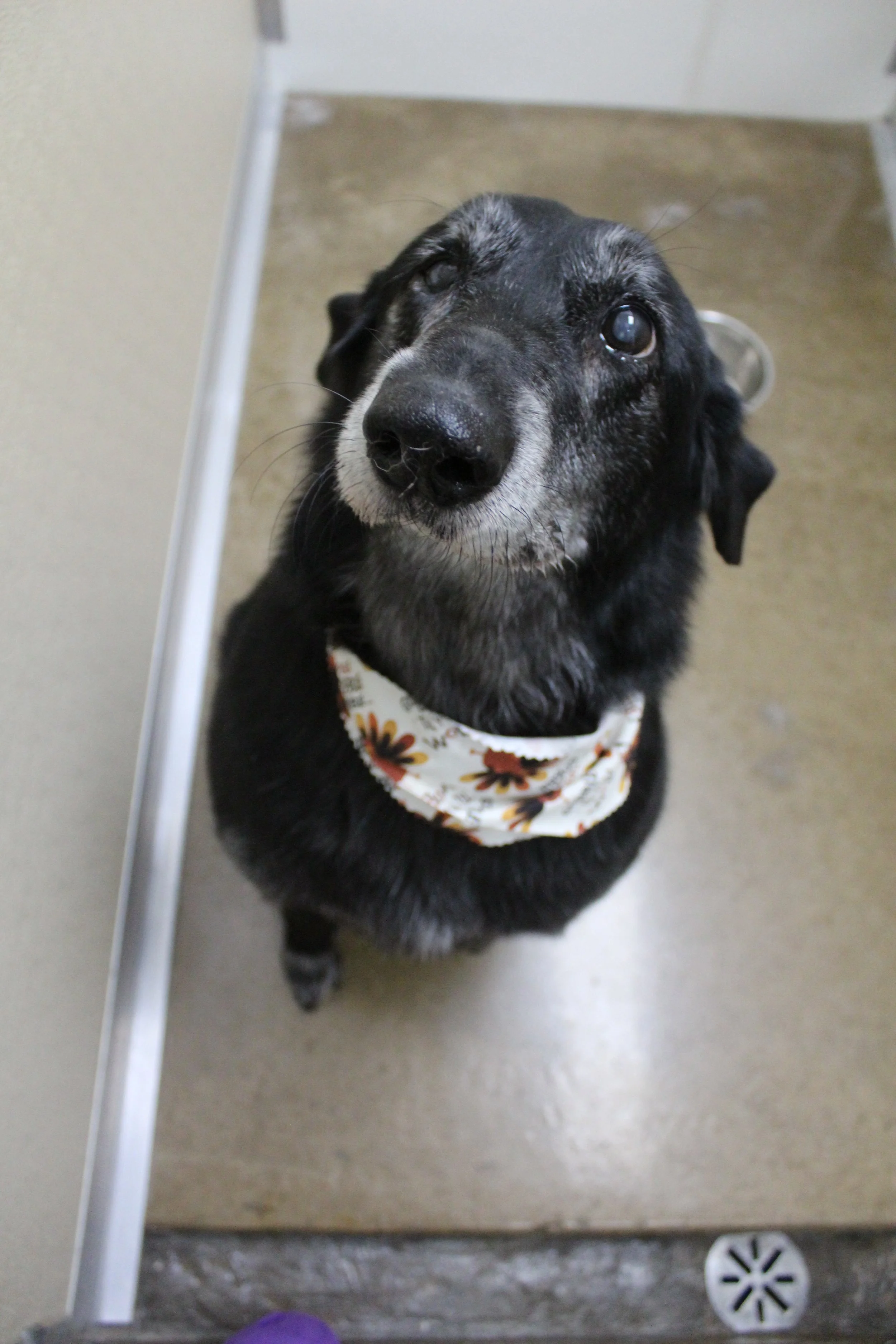 Website Photos 824.JPG