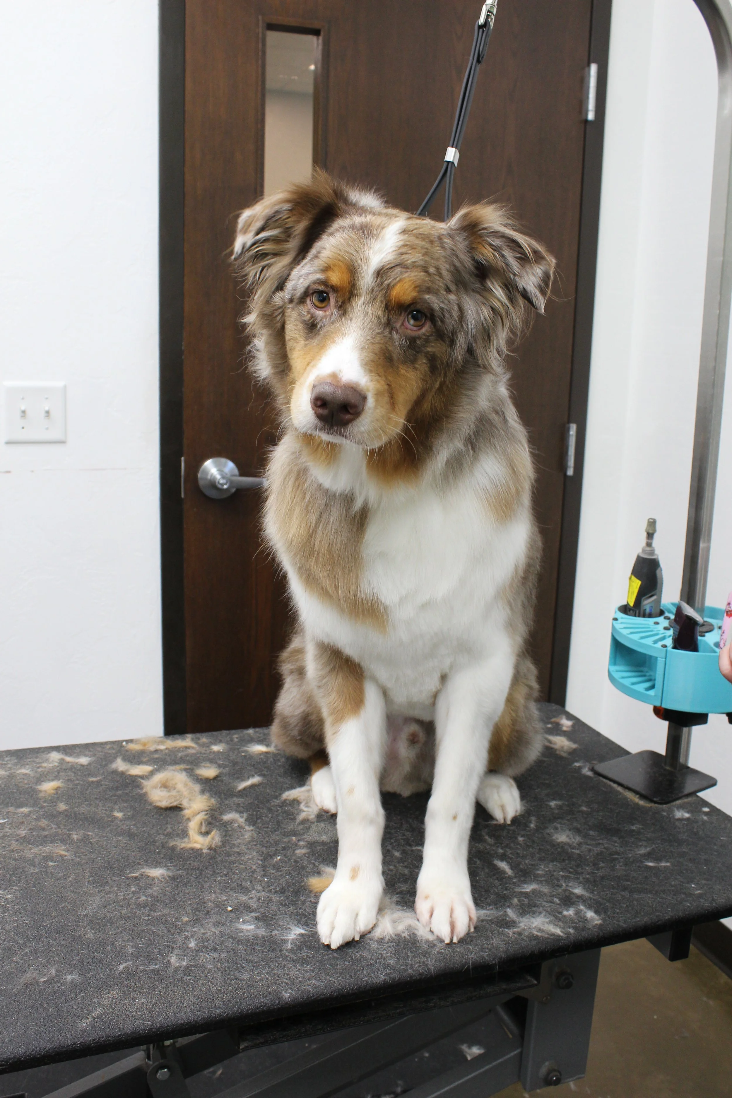 Website Photos 582.JPG