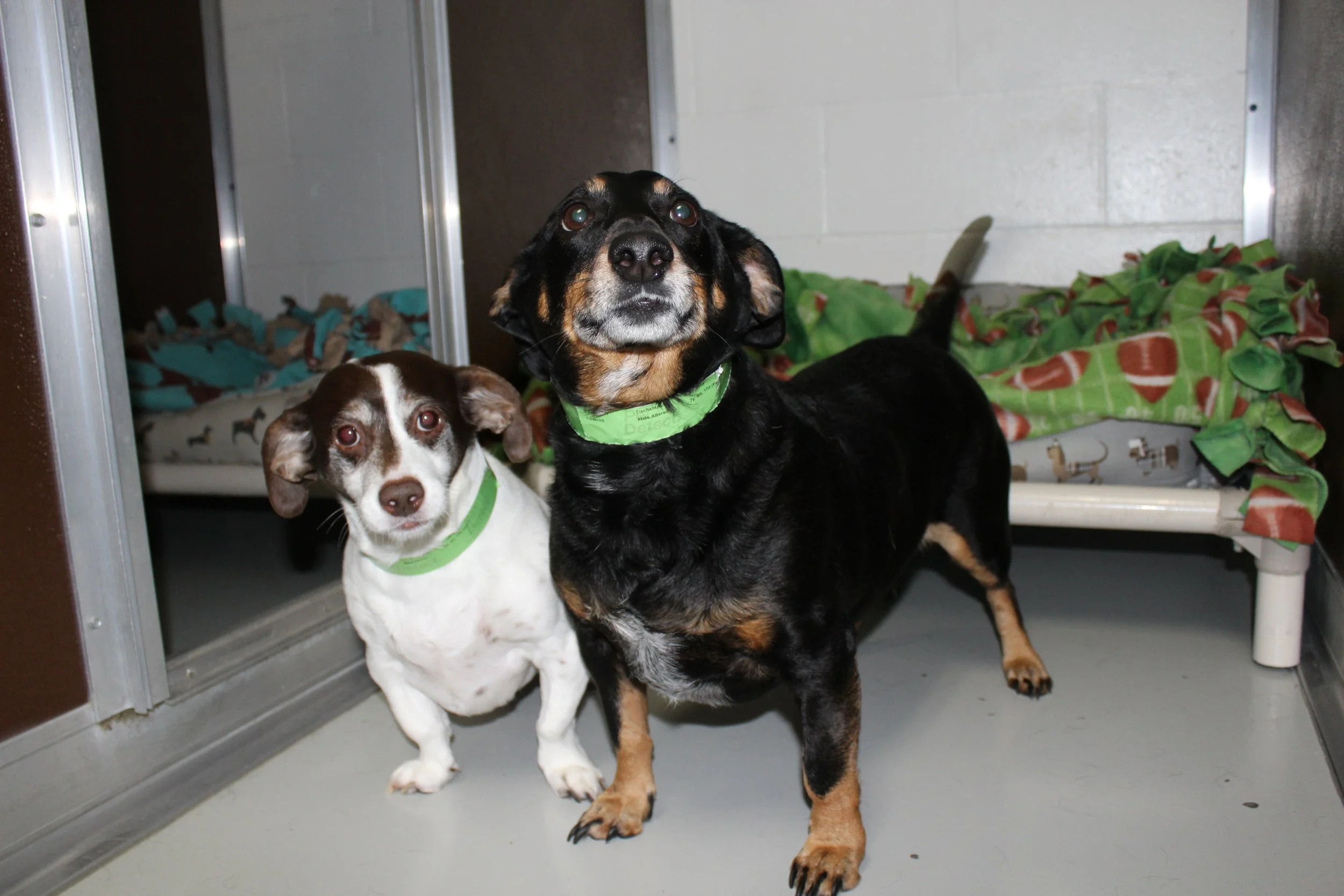 Website Photos 463.JPG