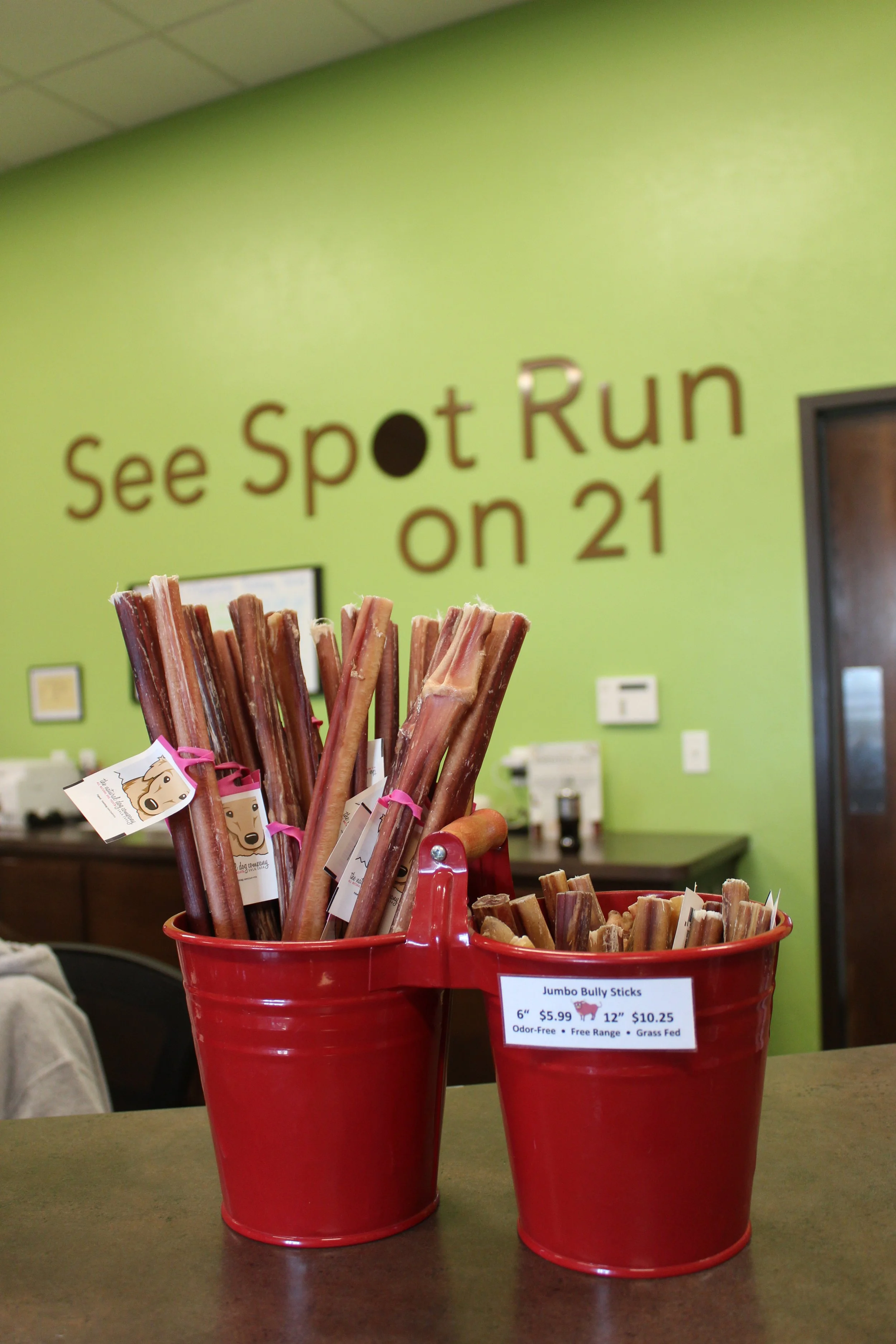 Website Photos 251.JPG