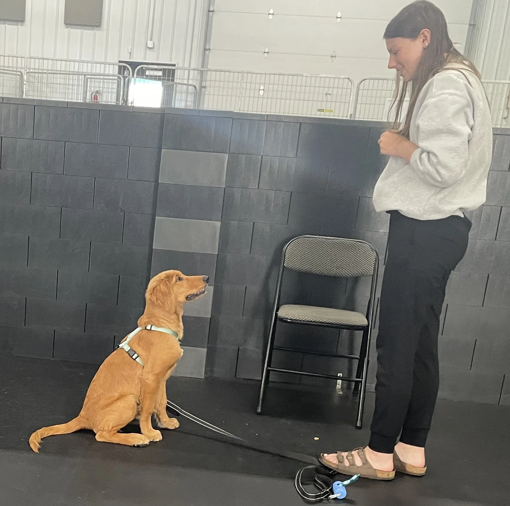 7.9.25 Hannah Puppy Class 001.JPG
