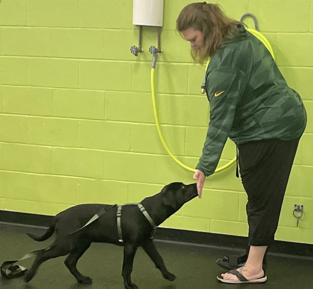 Puppy class 4.23.25 013.JPG