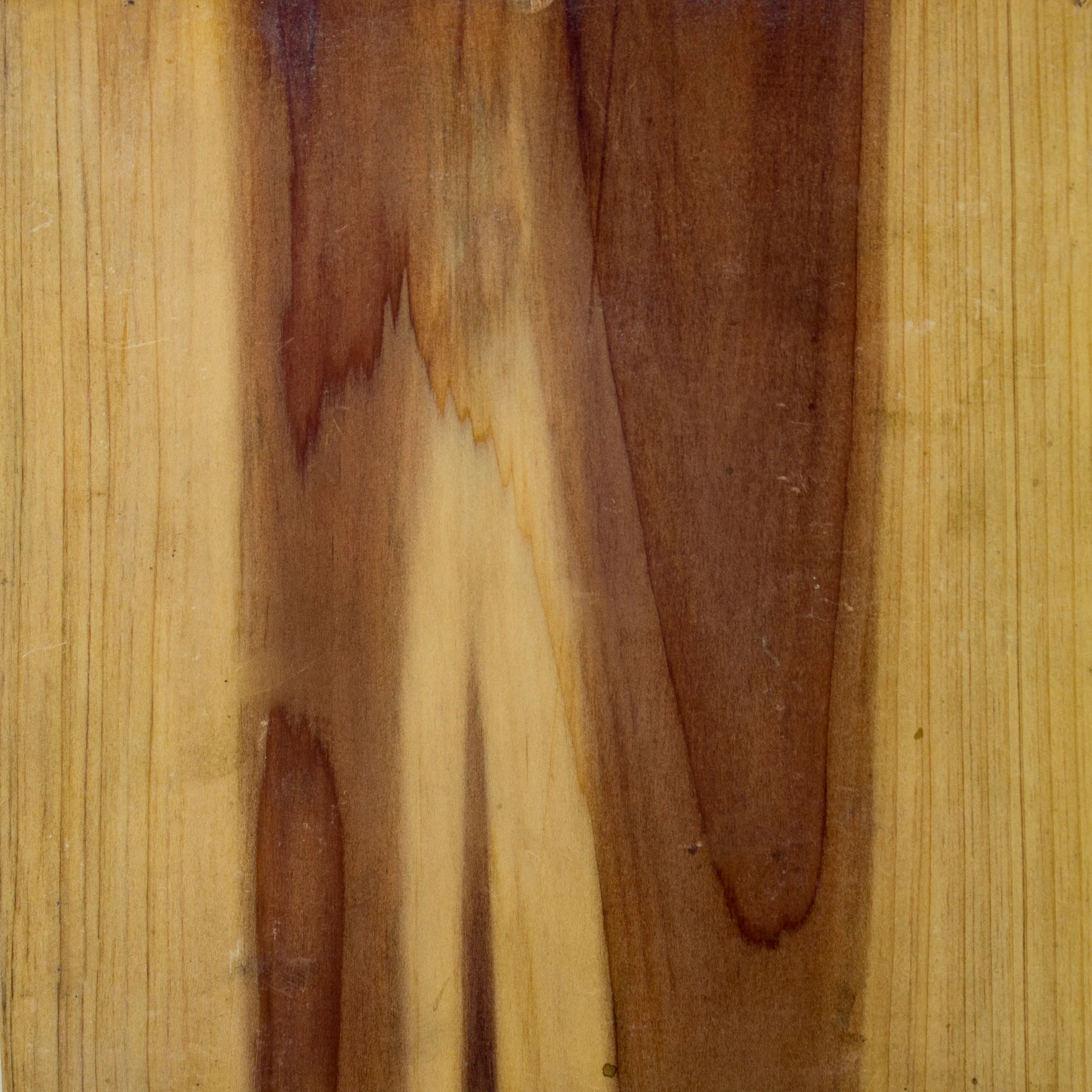 WOOD CEDAR