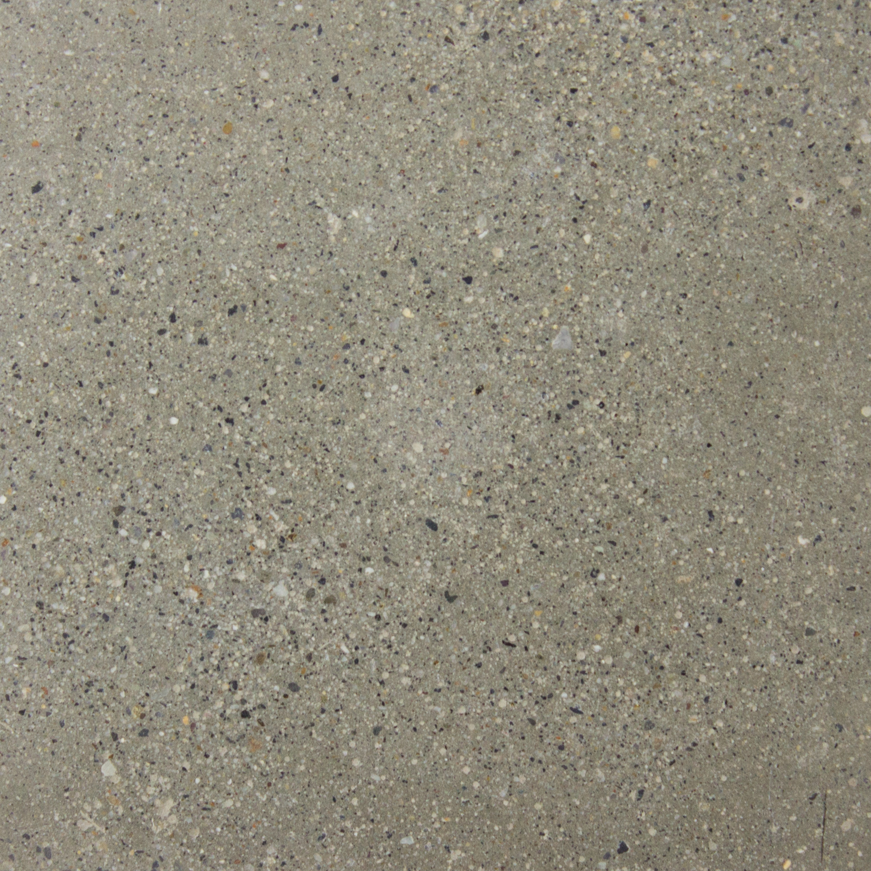 POLISHED ORGANICRETE CONCRETE