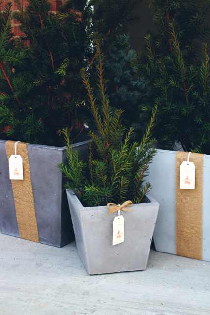 OrganiCrete® Concrete Planter