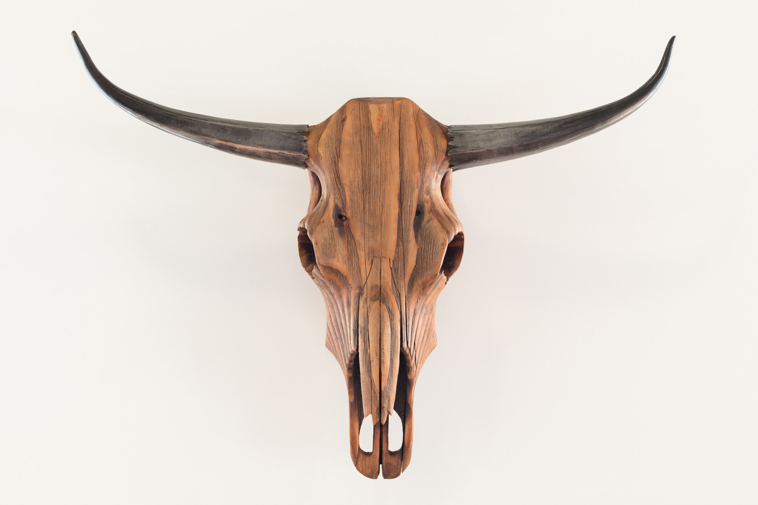 Custom Bull's Head