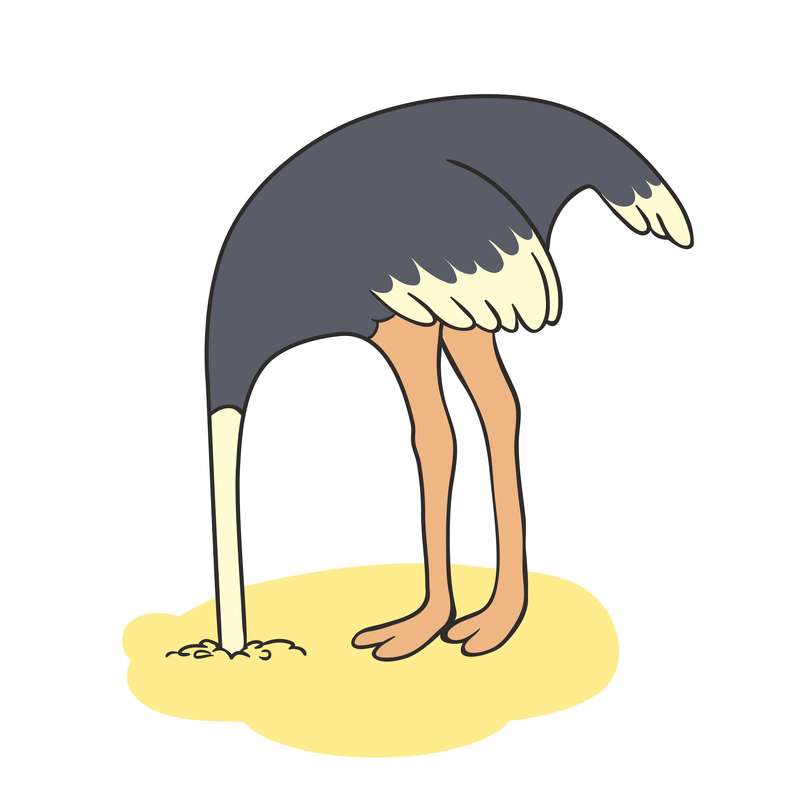 © Balakobo | Dreamstime.com - <a href="http://www.dreamstime.com/stock-illustration-outlines-ostrich-hiding-its-head-sand-vector-illustration-image57092017#res13434849">Outlines Of An Ostrich Photo</a>