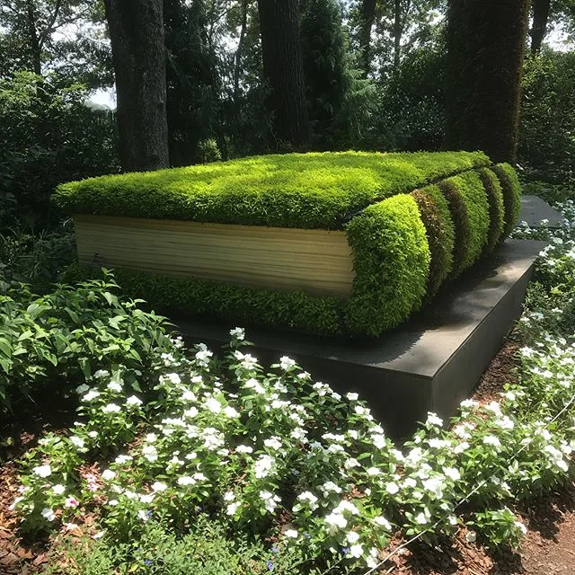 Not just your Howea Belmoreana, the Atlanta Botanical Garden is a feast of exotic flora. Us fauna did the sweating in the vapor imbued June afternoon.