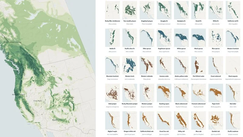 Western Trees Atlas interactive map of tree ranges across western North America