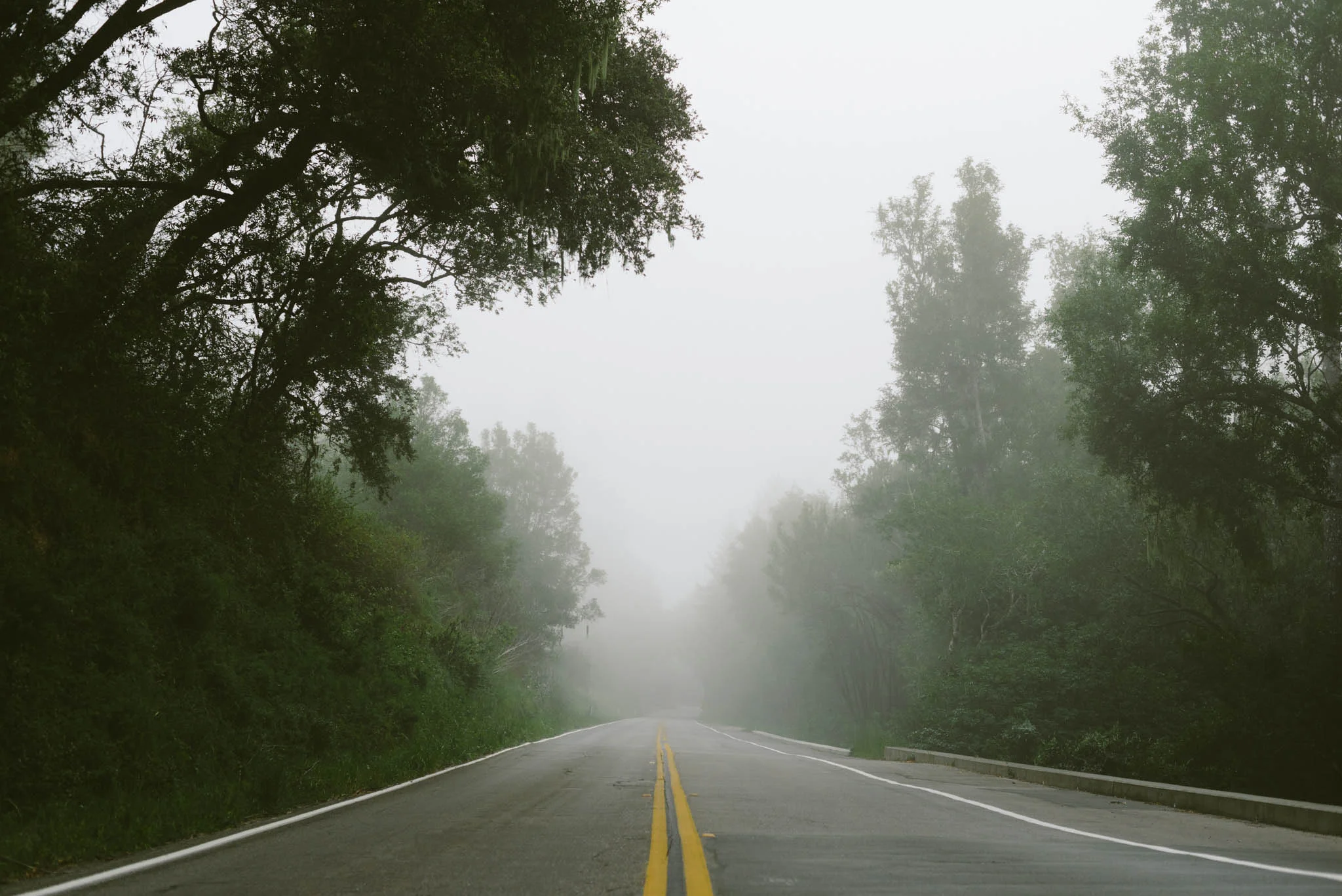 ©The Ryans Photography - Point Reyes, California-5.jpg