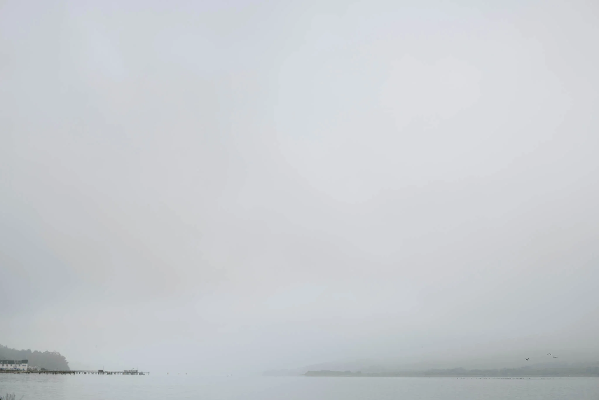 ©The Ryans Photography - Point Reyes, California-6.jpg