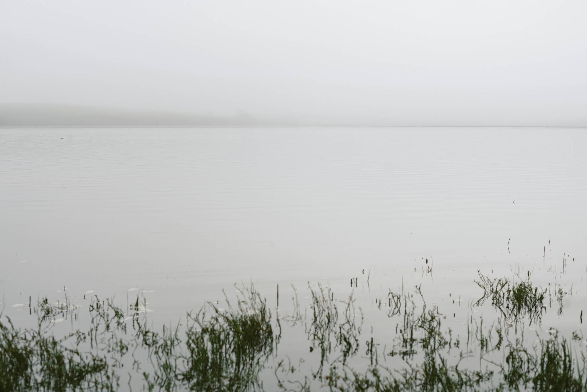 ©The Ryans Photography - Point Reyes, California-7.jpg