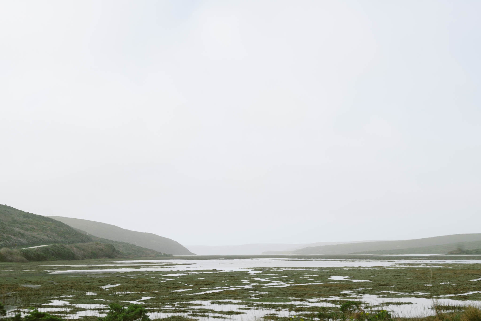 ©The Ryans Photography - Point Reyes, California-16.jpg