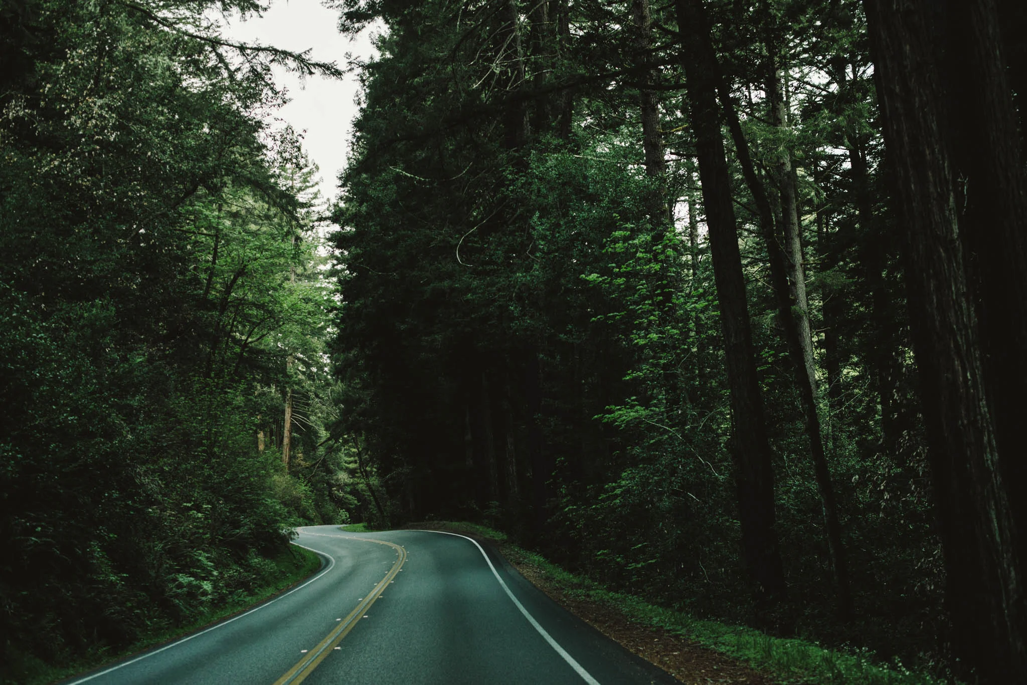 ©The Ryans Photography - Point Reyes, California-17.jpg