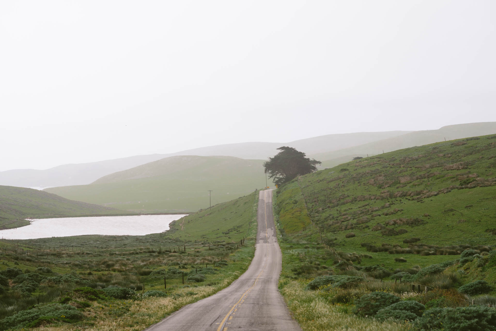 ©The Ryans Photography - Point Reyes, California-31.jpg