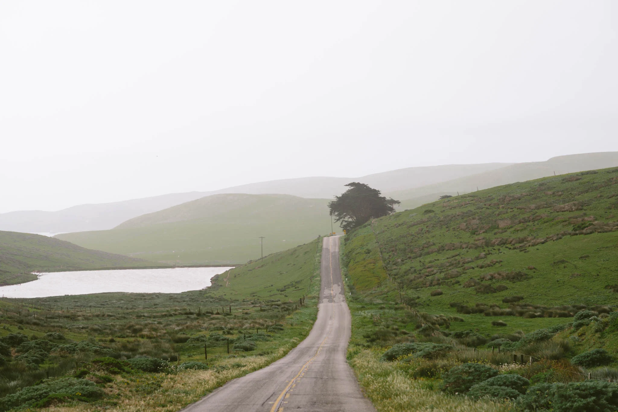 ©The Ryans Photography - Point Reyes, California-31.jpg