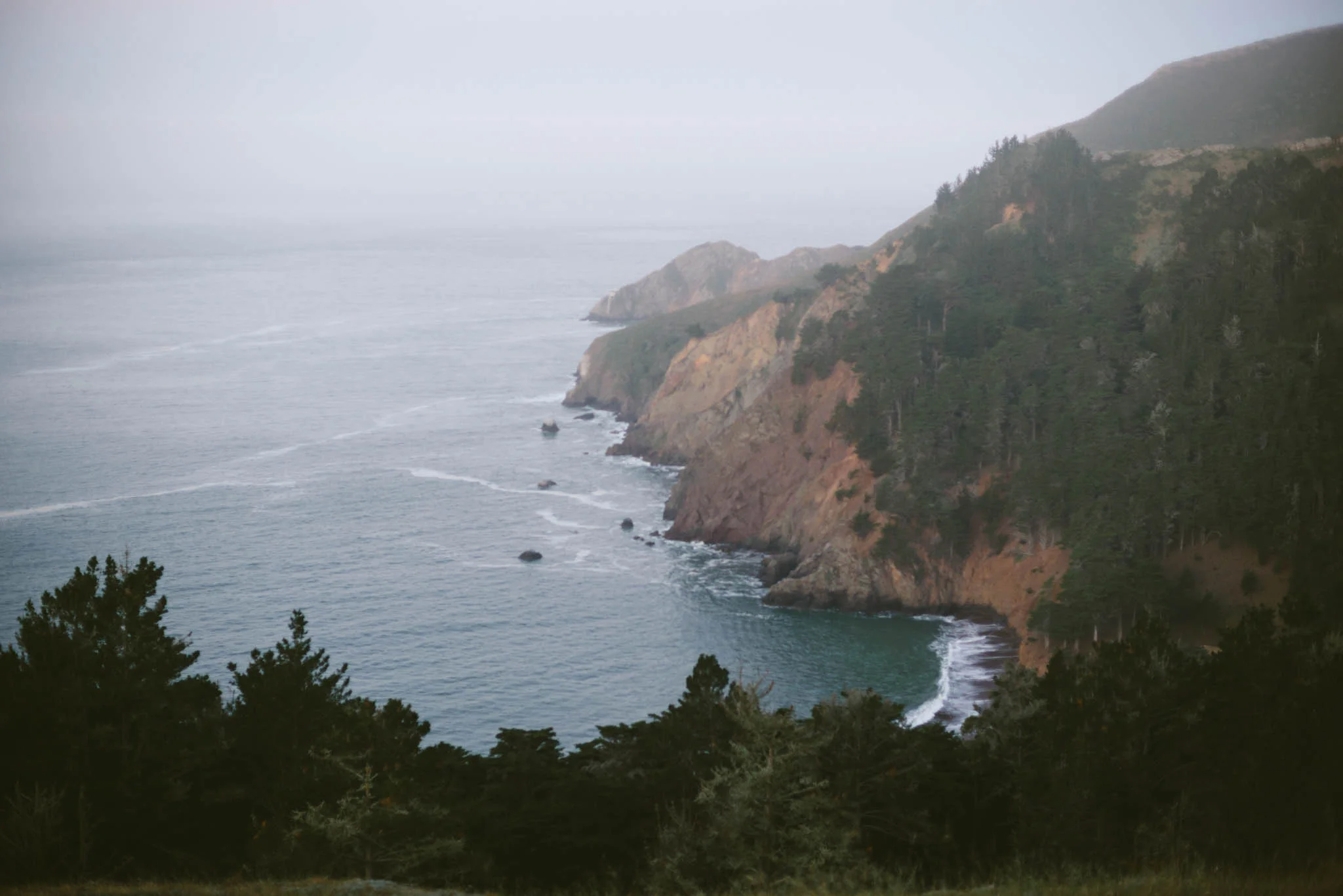 ©The Ryans Photography - Point Reyes, California-41.jpg