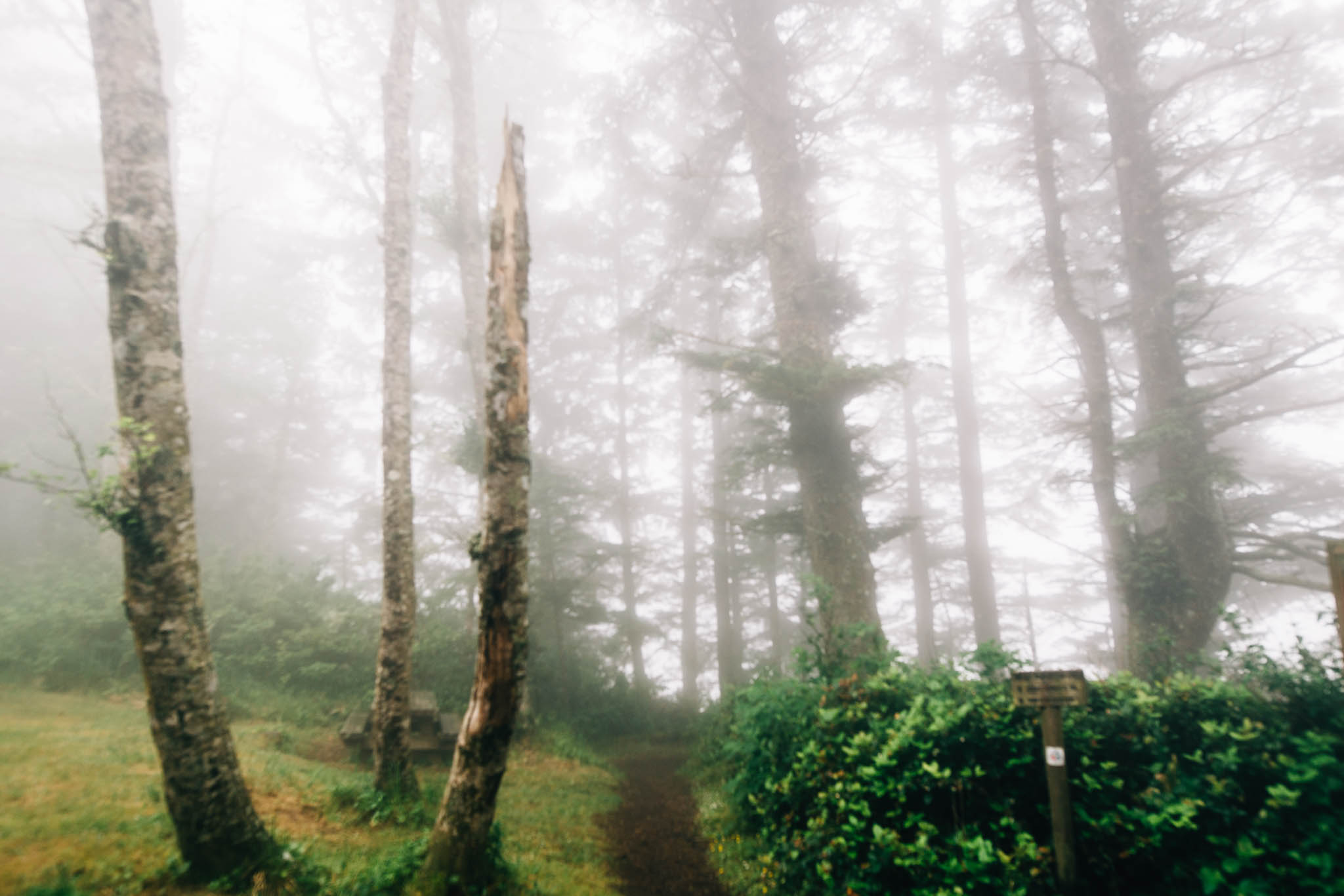 ©The Ryans Photography_Foggy Trails, Oregon-002.jpg
