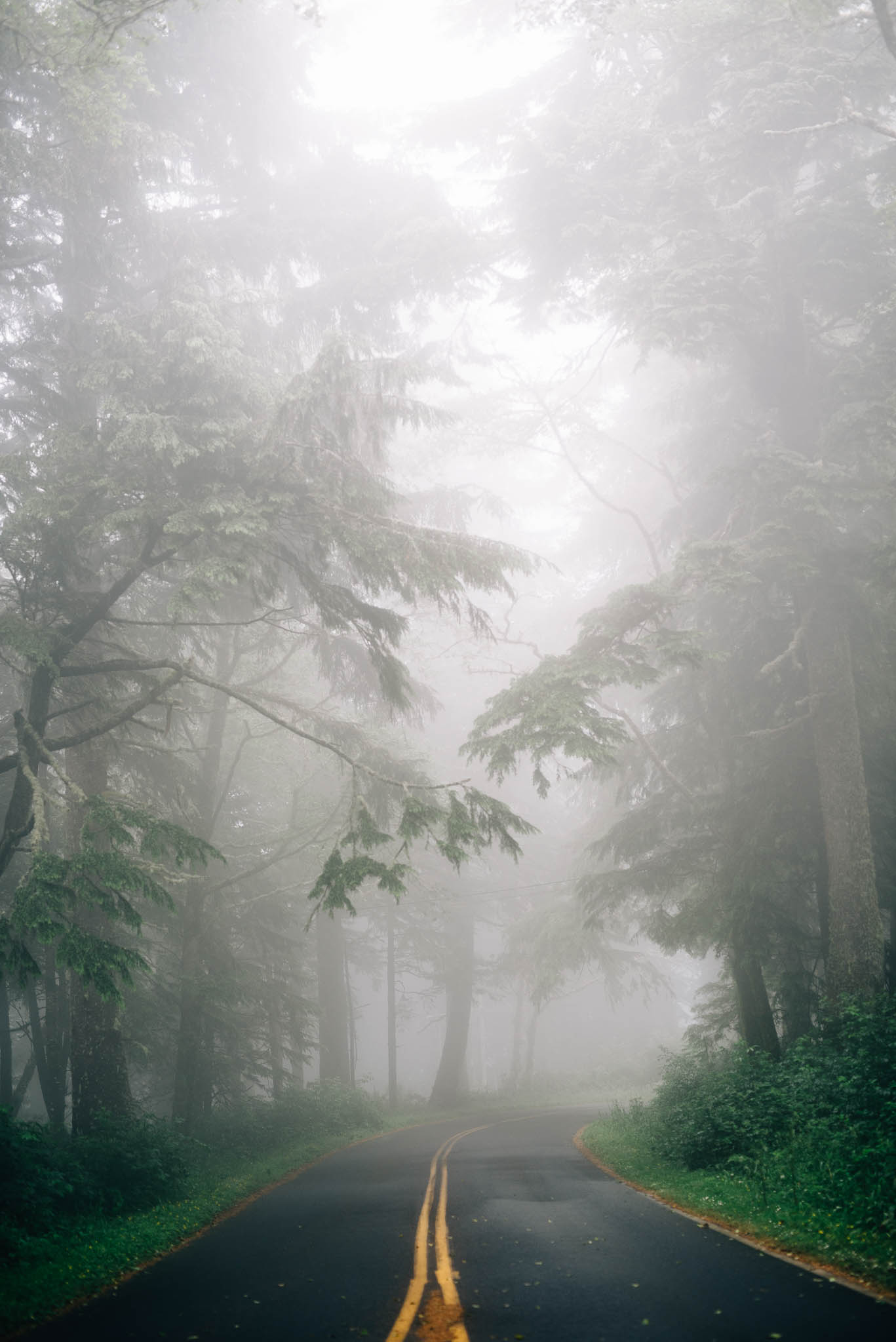 ©The Ryans Photography_Foggy Trails, Oregon-005.jpg