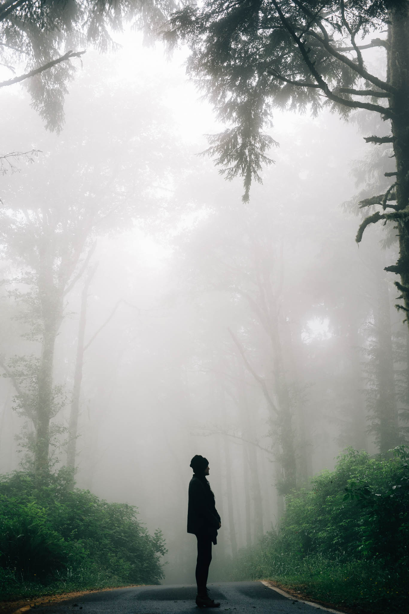 ©The Ryans Photography_Foggy Trails, Oregon-006.jpg