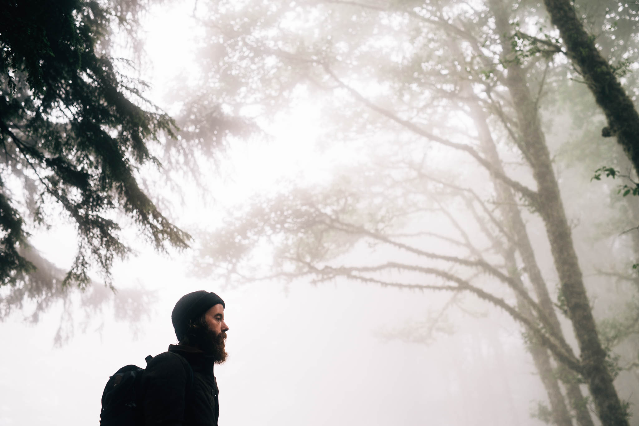 ©The Ryans Photography_Foggy Trails, Oregon-009.jpg