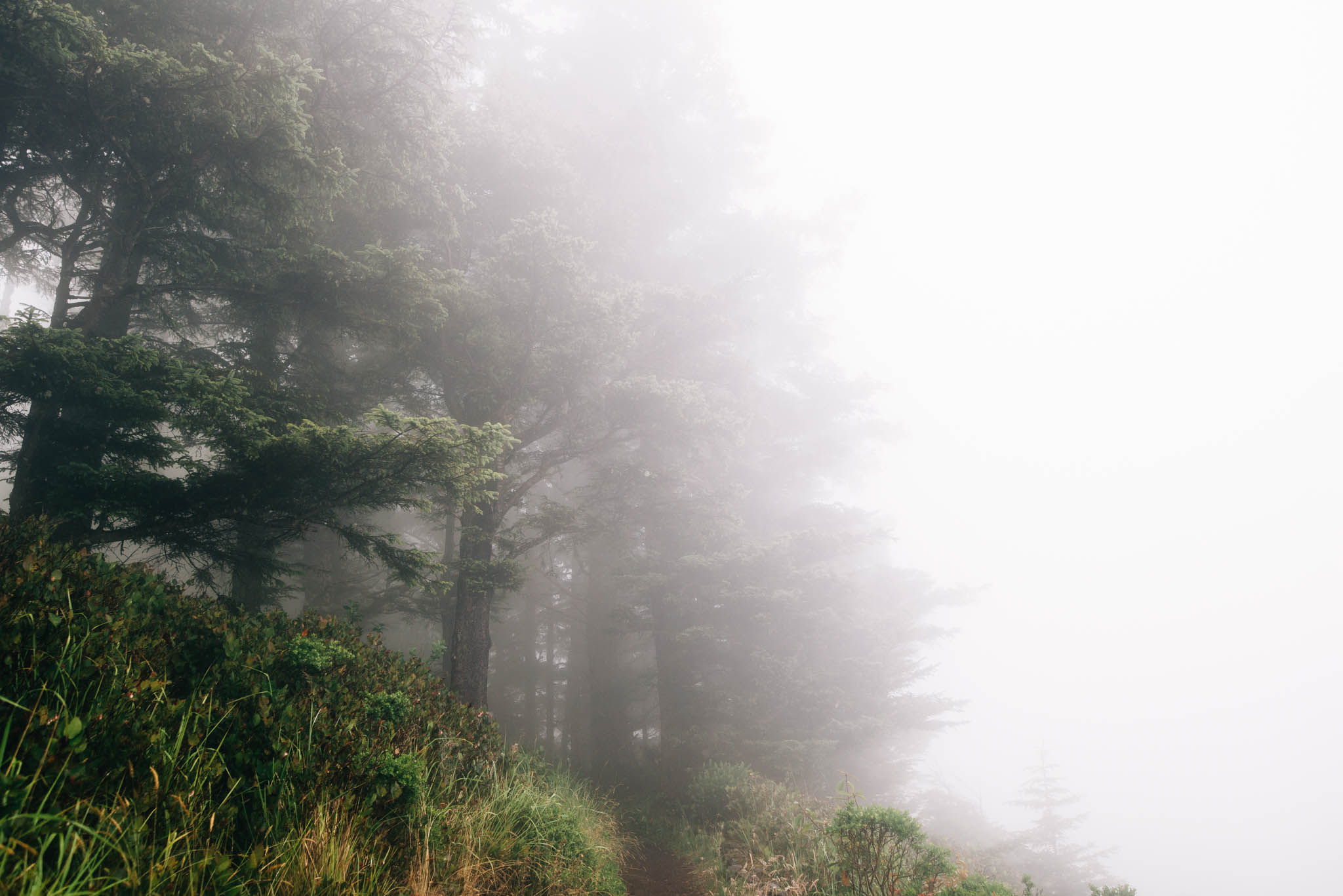 ©The Ryans Photography_Foggy Trails, Oregon-013.jpg