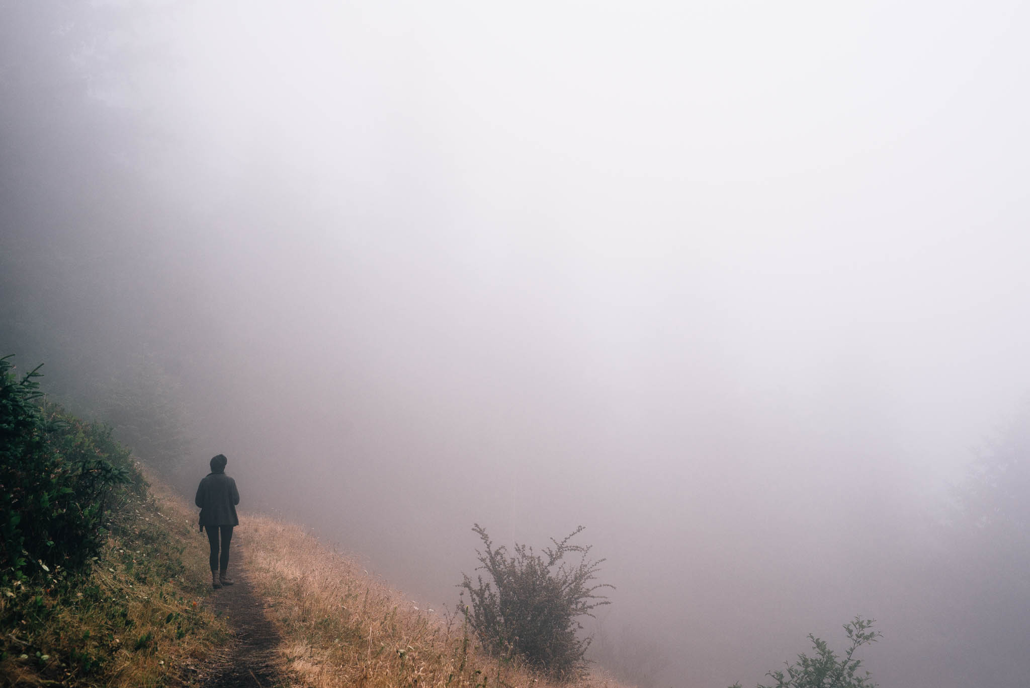 ©The Ryans Photography_Foggy Trails, Oregon-021.jpg