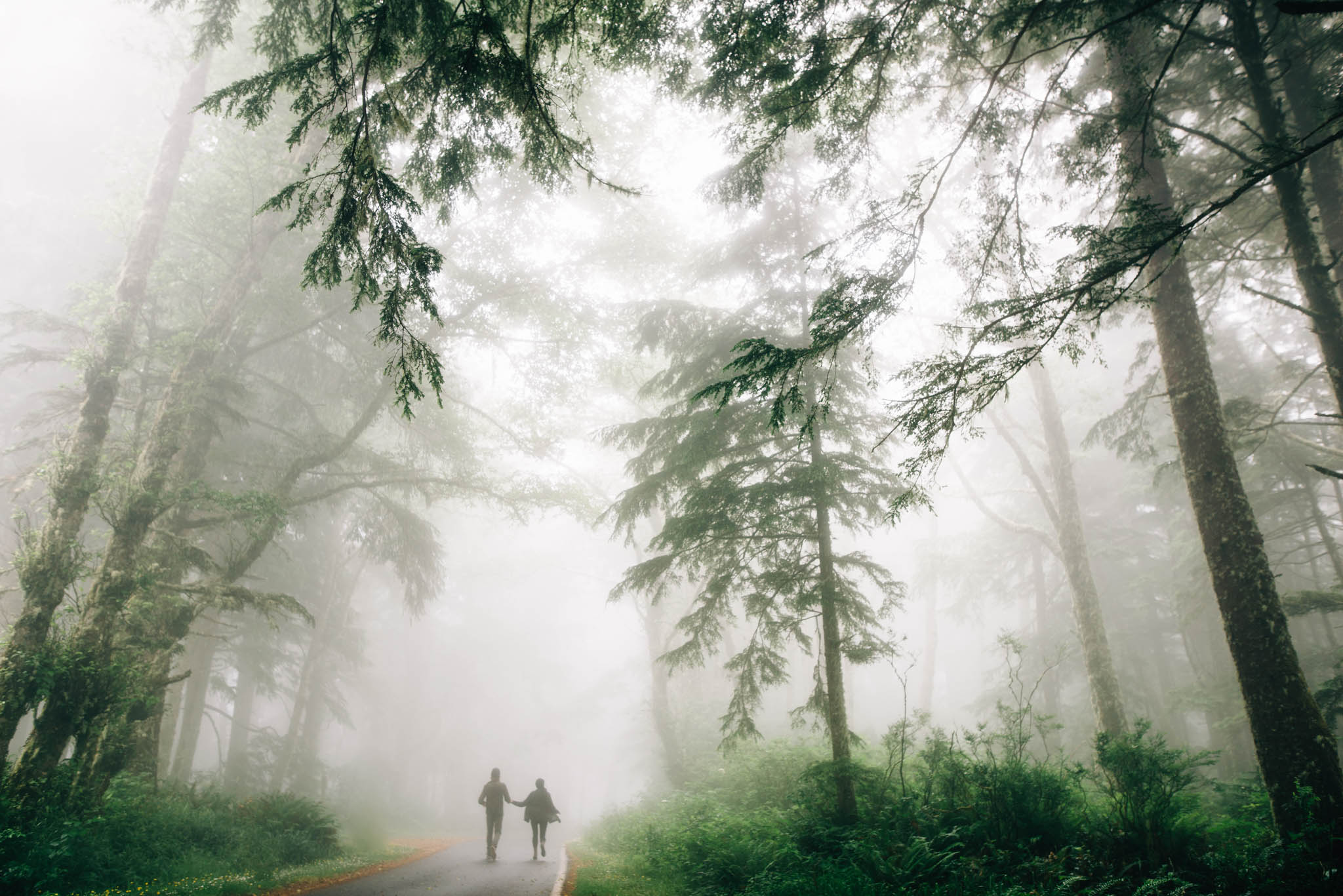 ©The Ryans Photography_Foggy Trails, Oregon-023.jpg