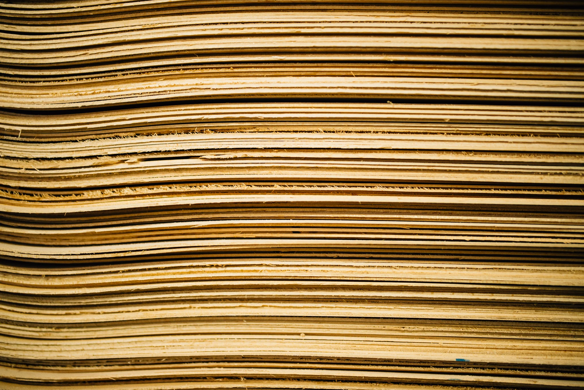 ©The Ryans Photography_Los Angeles Commercial Lifestyle - Splitt Lipp Skateboards-029.jpg