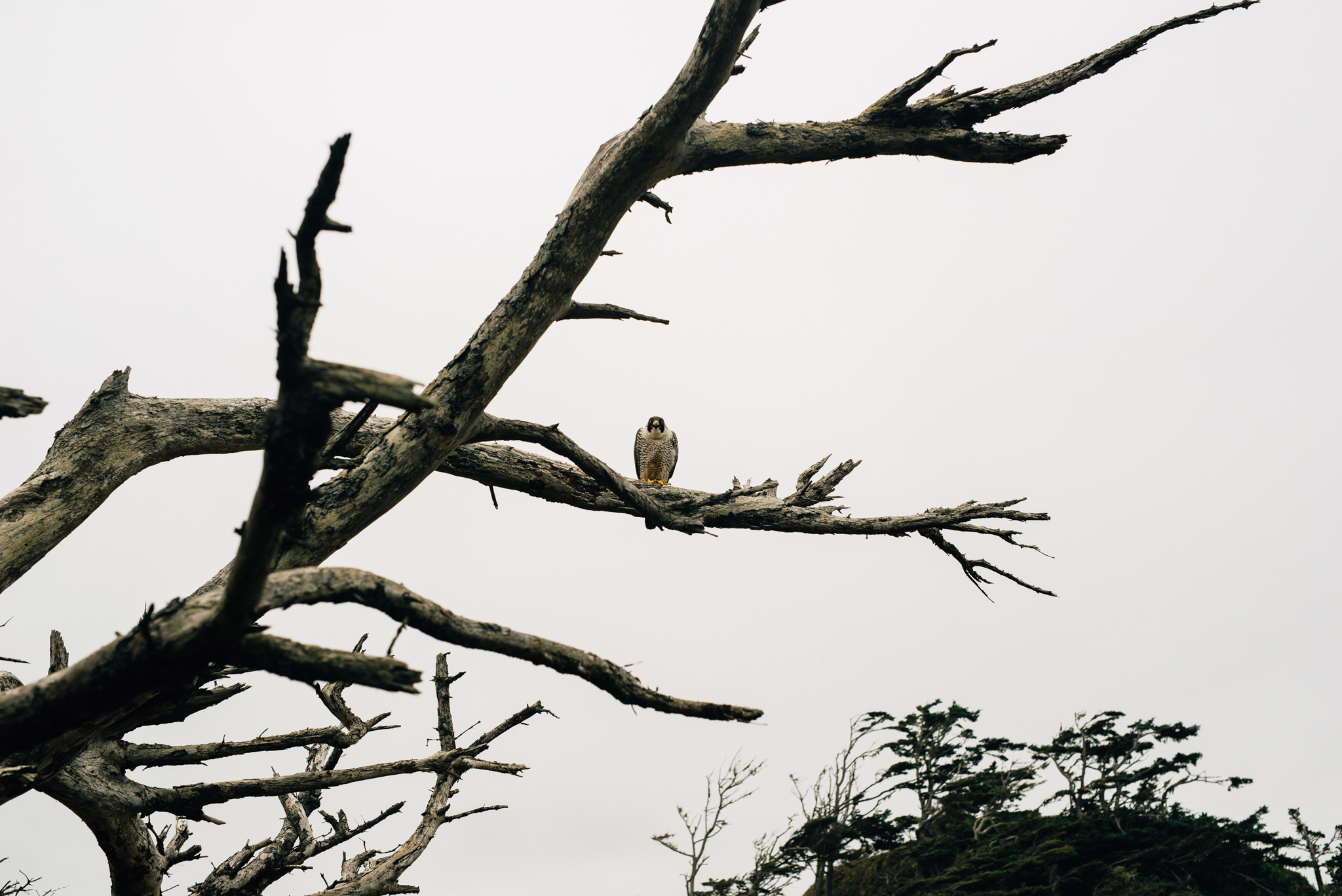 ©The Ryans Photography_Los Angeles Lifestyle - Oregon Coast-025.jpg