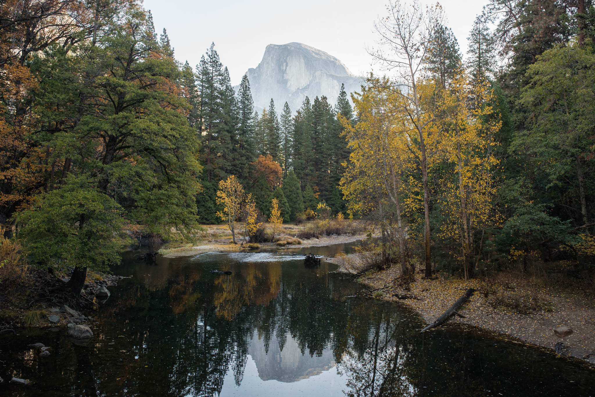 Yosemite_1126.jpg