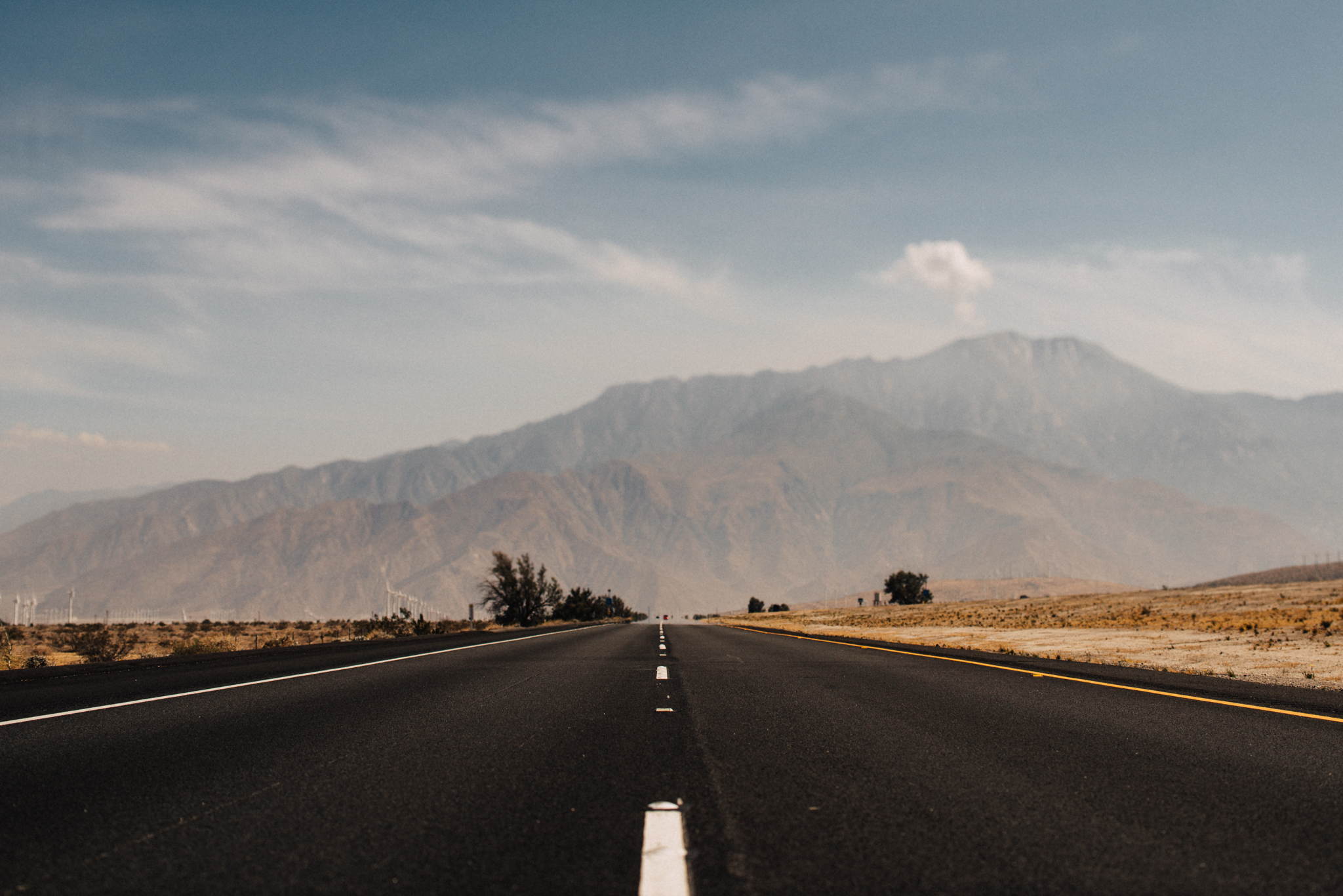 ©The Ryans Photography - Los Angeles Travel - Joshua Tree National Park-001.jpg