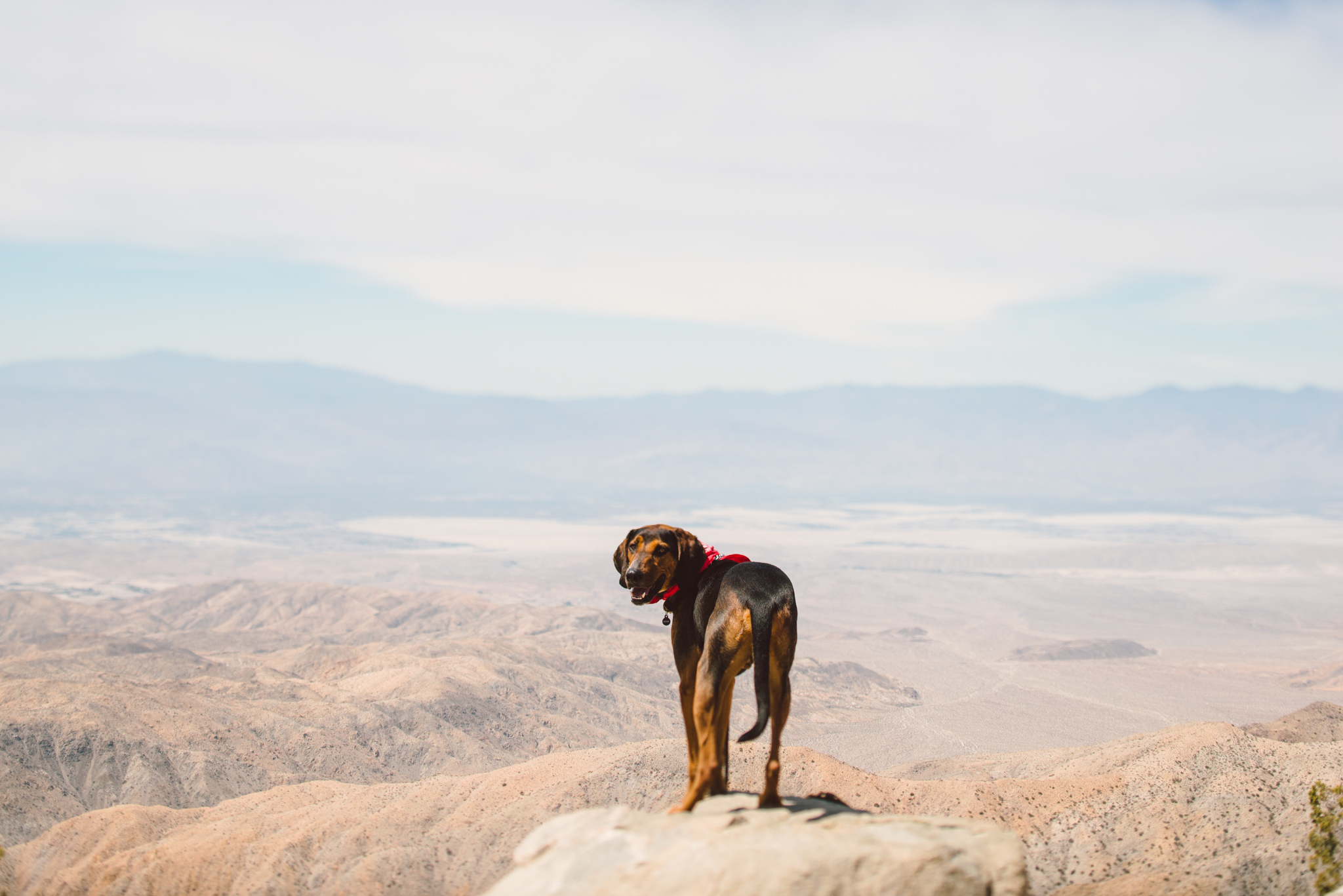 ©The Ryans Photography - Los Angeles Travel - Joshua Tree National Park-005.jpg