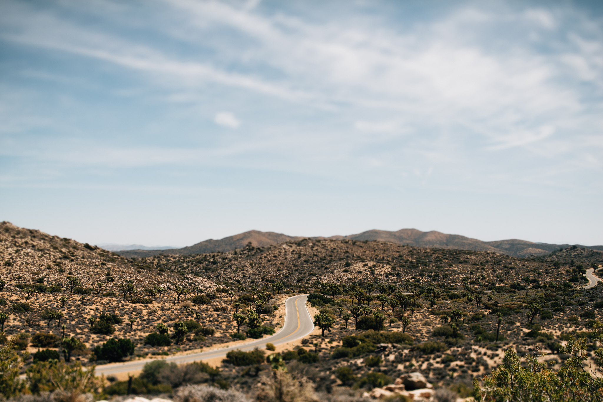 ©The Ryans Photography - Los Angeles Travel - Joshua Tree National Park-006.jpg